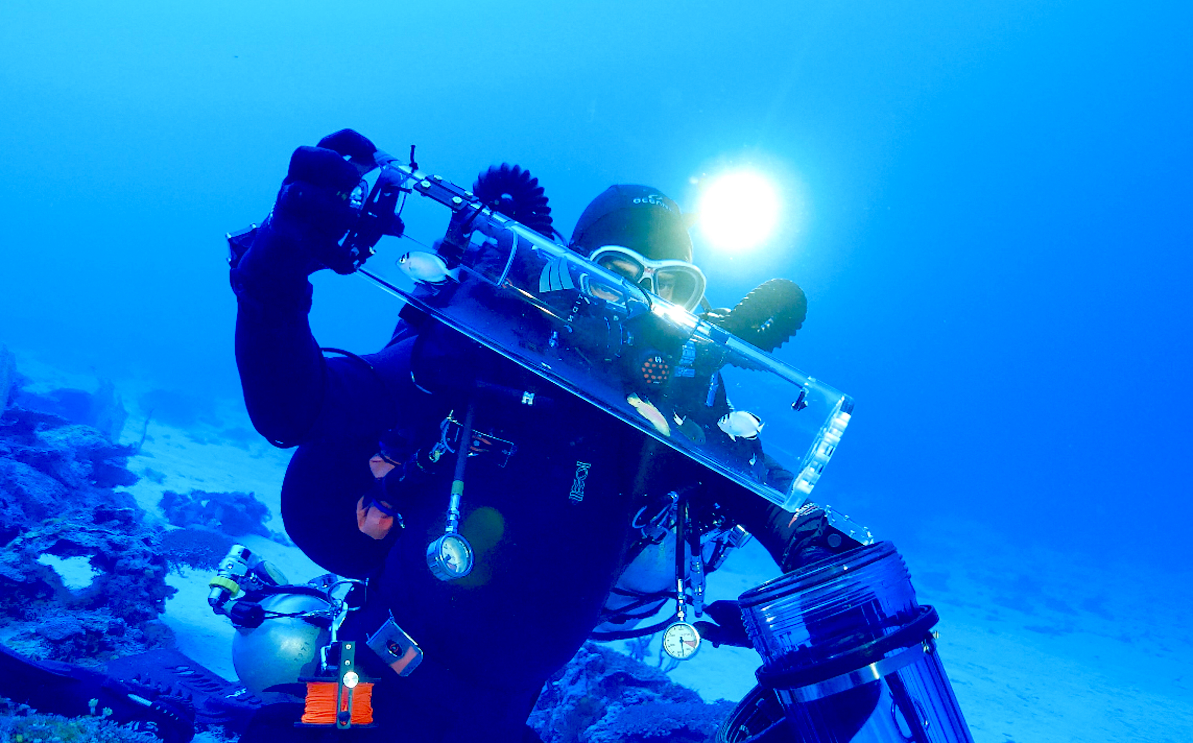 Biologist Bart Shepherd in An Audacious Plan in the Twilight