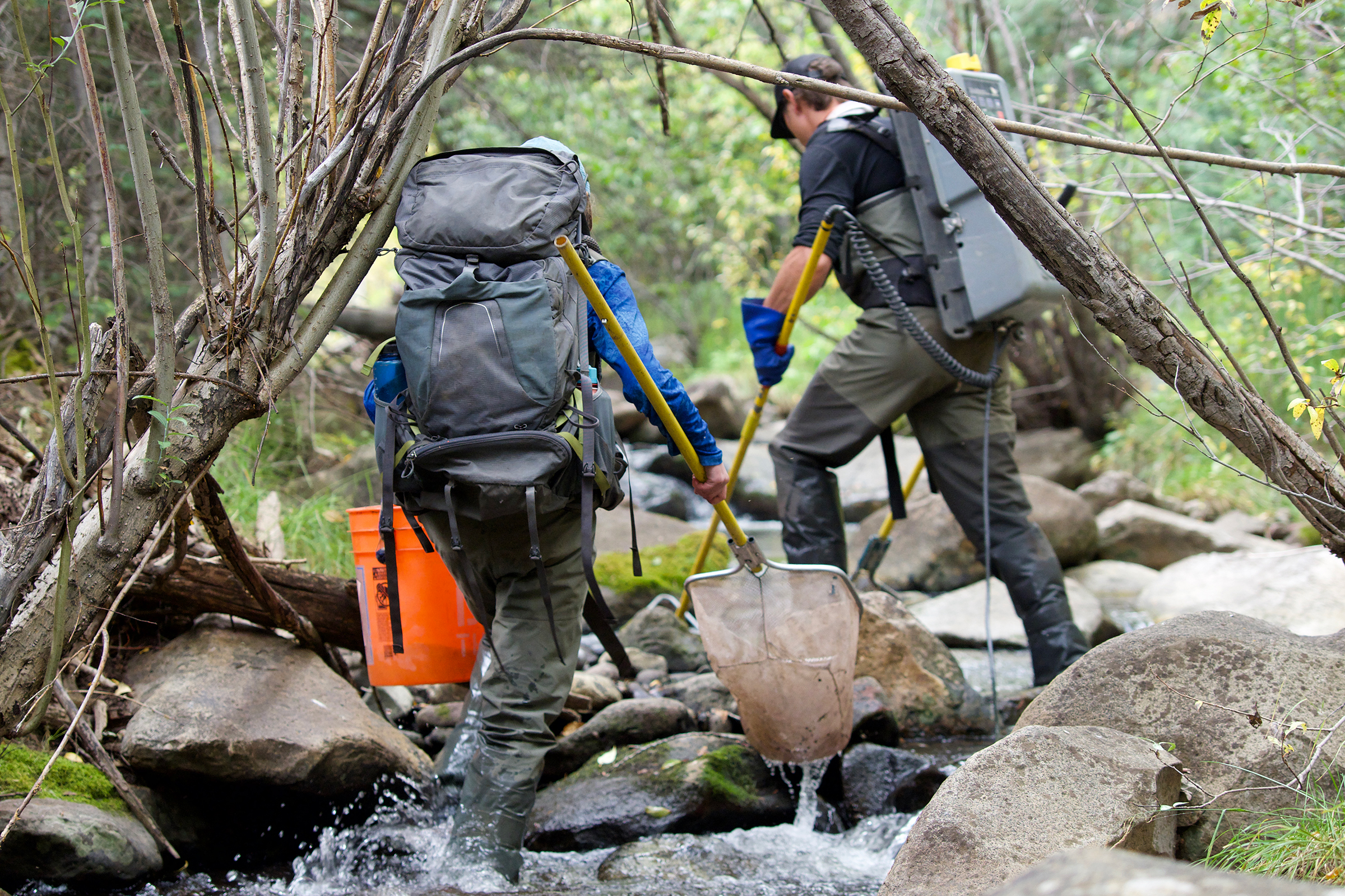 Michael Miller and Kelsie Field, graduate student researchers from New Mexico State University, electrofish a small stream that runs through Vermejo Park Ranch—all part of a bold experiment to help restore the West's native trout populations.