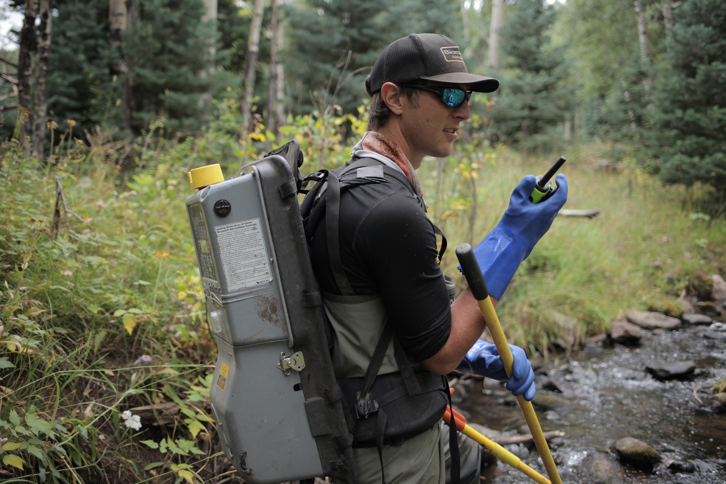 Michael Miller, a graduate student at New Mexico State University pauses to communicate with team members while electrofishing a small stream in New Mexico's Vermejo Park Ranch.