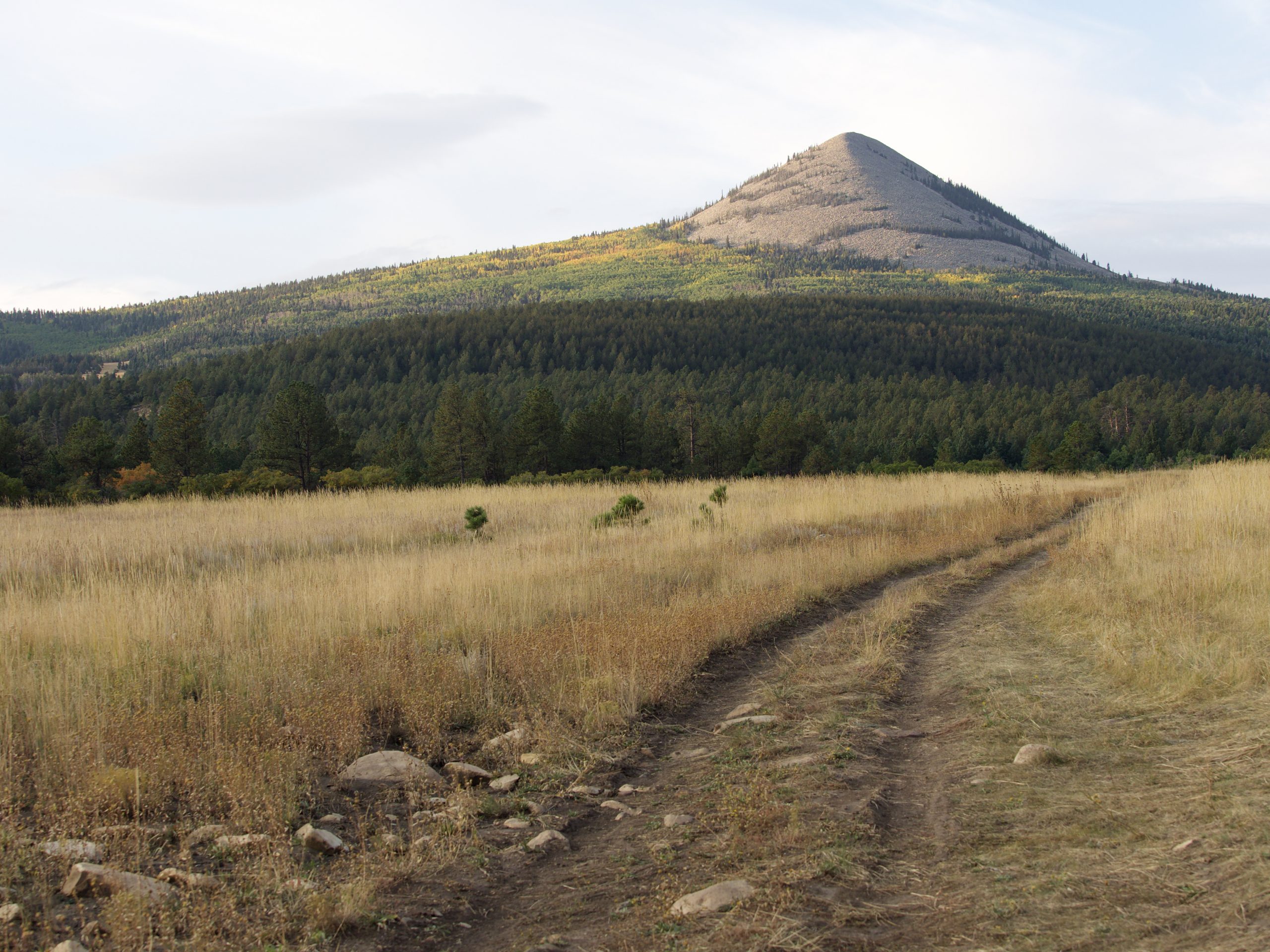 Ash Mountain stands tall above the headwaters of New Mexico's Leandro Creek, where fisheries biologists are conducting a bold experiment aimed at protecting the stream's native trout.