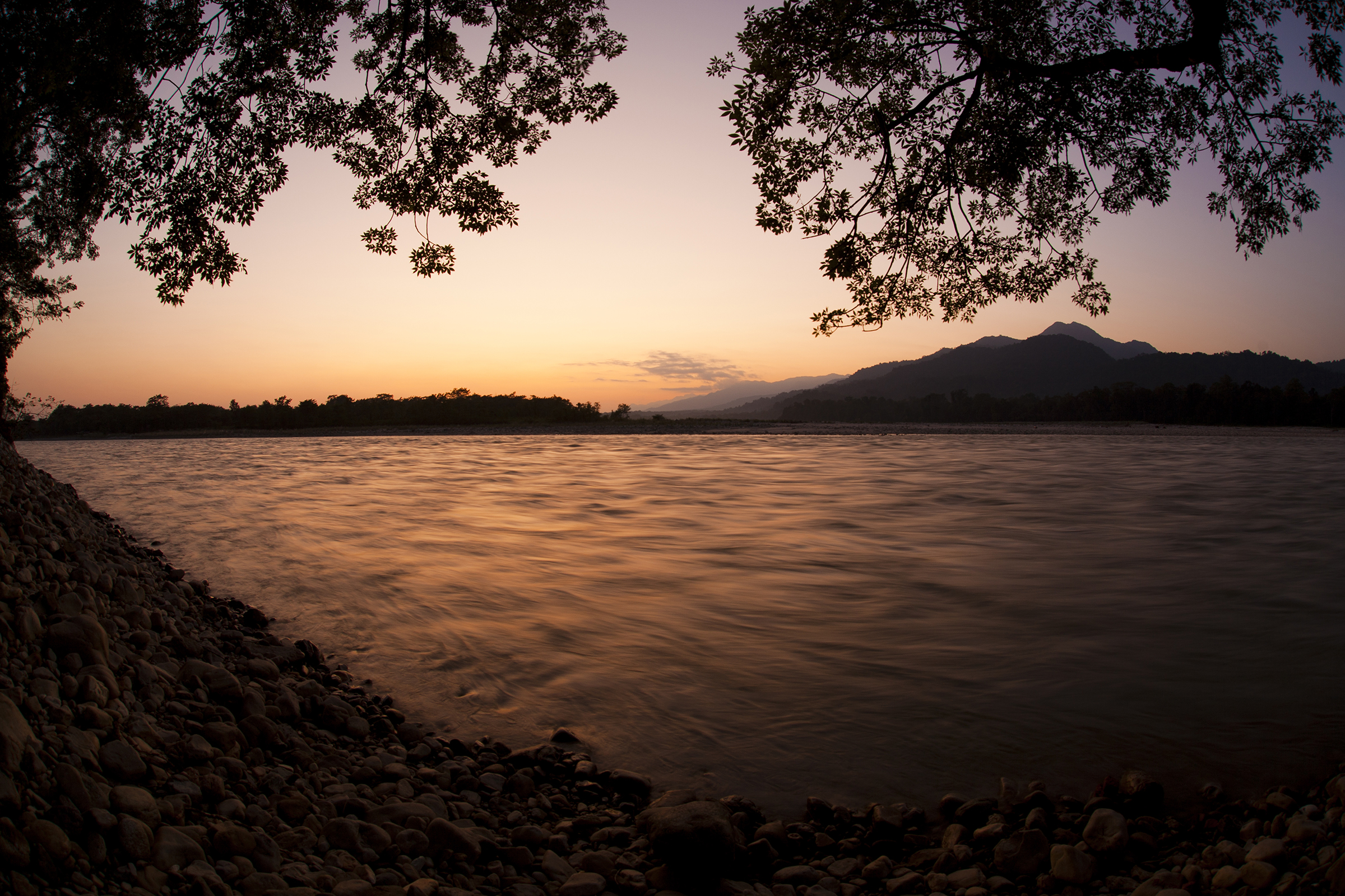 A view from the riverbank in Manas National Park, a UNESCO World Heritage Site, Assam, India. Photograph by Sandesh Kadur