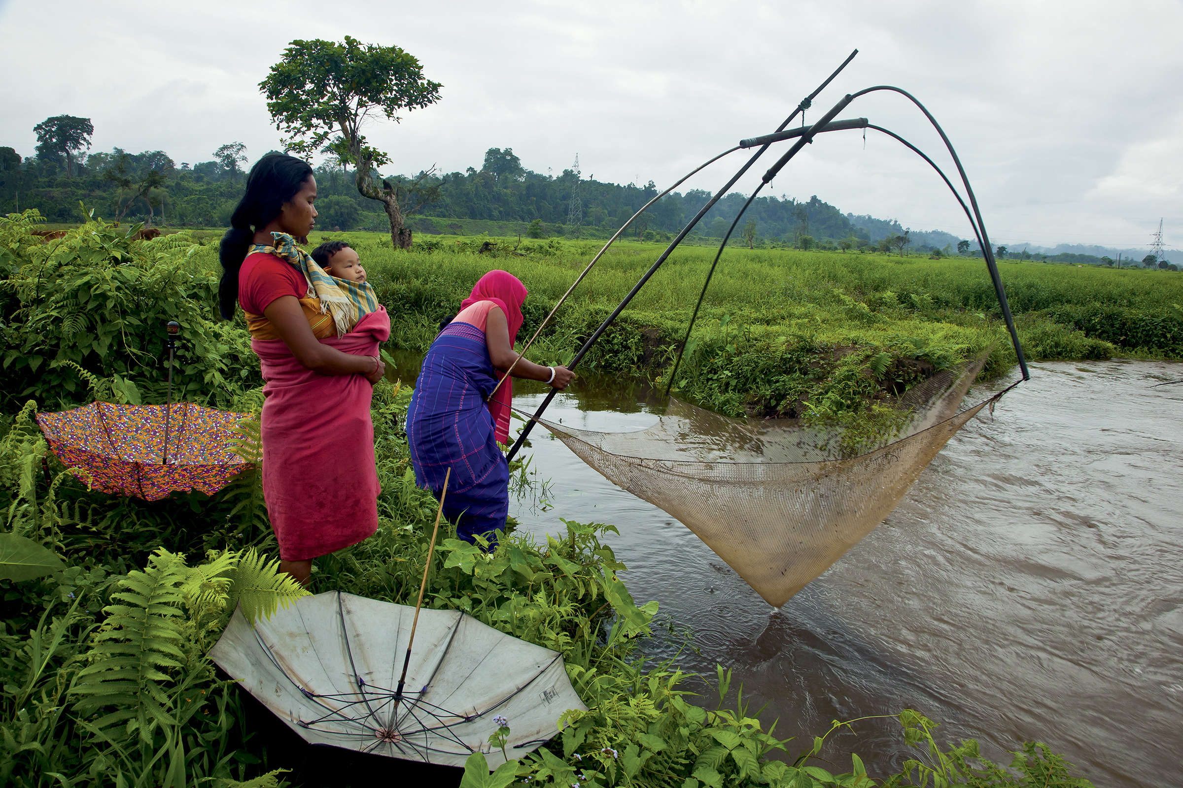 Bodo women fish in a monsoon stream on the periphery of Nameri National Park, Assam, India. Photograph by Sandesh Kadur