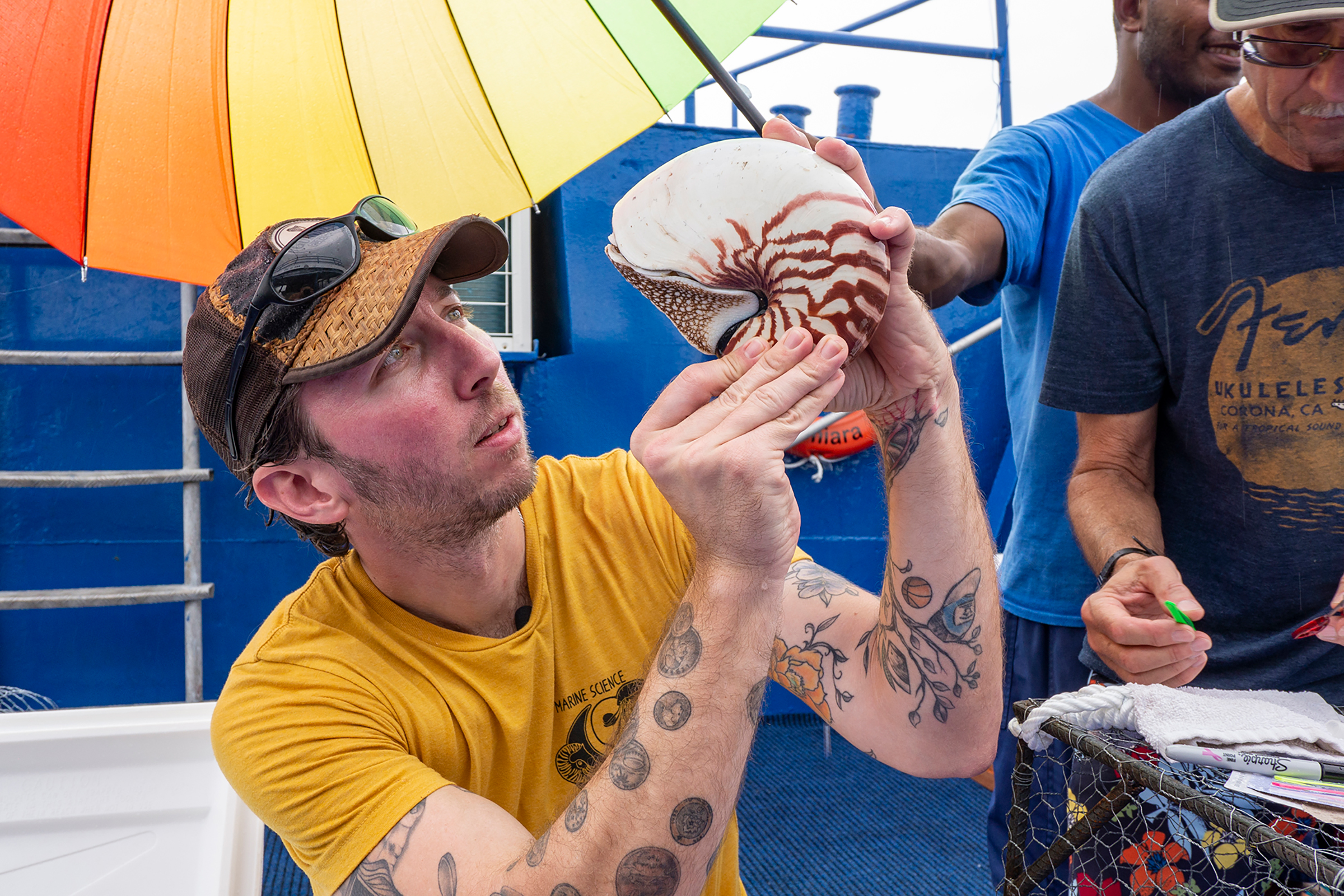 Biologist Gregory Barord inspects a nautilus to determine its sex.
