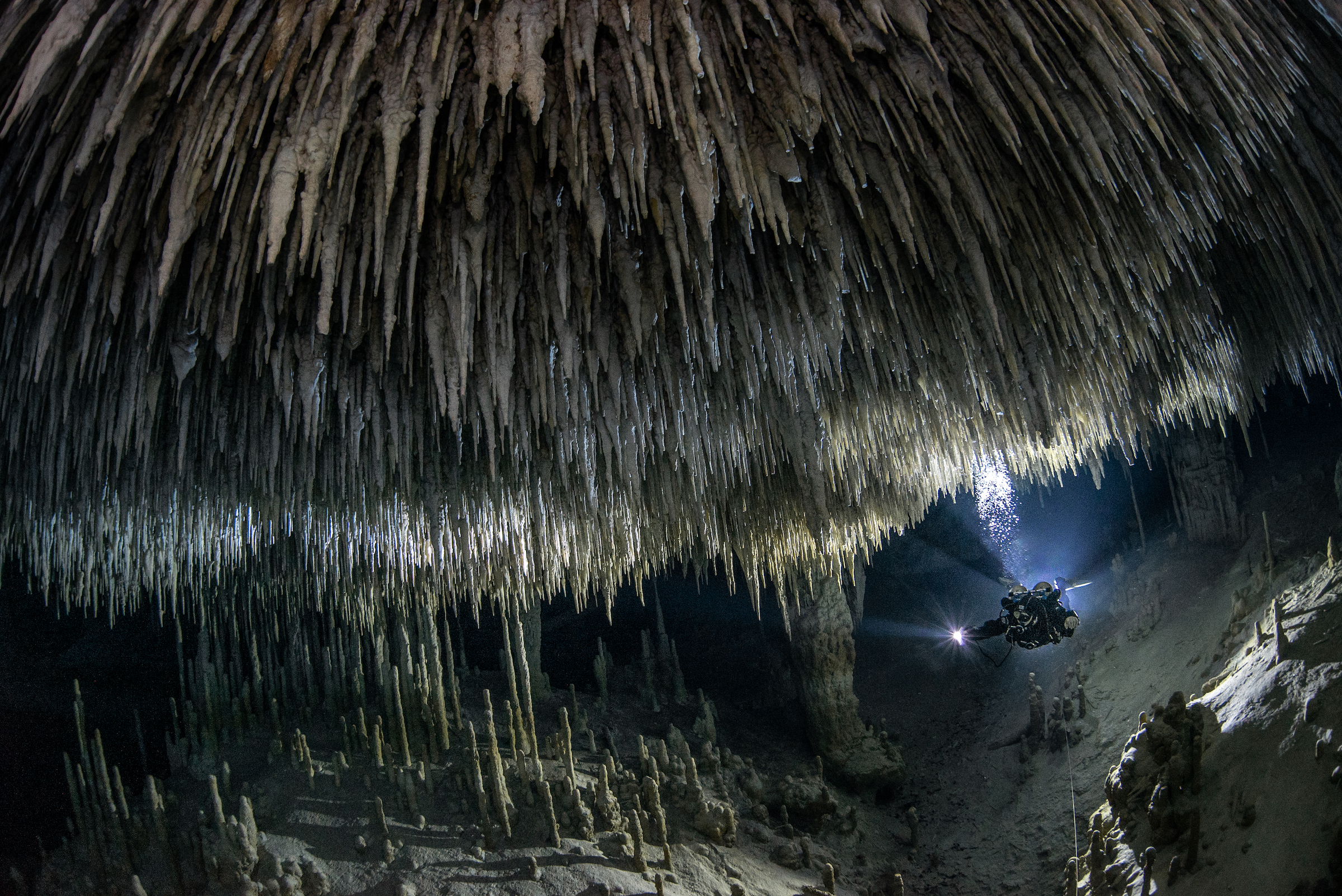 <strong>Hidden Beauty by Tom St George</strong><em>—Landscapes, Waterscapes, and Flora Winner</em>Deep in a cenote on Mexico’s Yucatán Peninsula, photographer Tom St George encountered this otherworldly, seemingly lifeless cavern, its dimly lit waters penetrated by thousands of dramatic stalactites. Inhospitable as it may appear, this flooded cave is actually far from barren. It is part of an extensive subterranean network of flooded passages, sinkholes, and caves that host a surprising diversity of fish and zooplankton, most of which are found only in the Yucatán. Many are also endangered, since the peninsula’s cenotes are threatened by development and pollution. One of these species, <em>Antromysis cenotensis</em>, is a tiny crustacean that plays an outsized role in its ecosystem. Included on the Mexican Red List of Species at Risk, the shrimp-like organism makes long vertical migrations as it feeds, thus moving nutrients through the water column. It is also a critically important food source for cenote fish.<br />
In addition to hosting endemic wildlife, cenotes provide the most important source of freshwater for the region’s human inhabitants. The limestone bedrock that dominates the geology of the peninsula is very porous and can’t hold water, so there are no surface rivers in the region; the only rivers exist underground. Unfortunately, the same sieve-like rock that allows rainwater to filter down into subterranean passages also permits surface contaminants—including pesticides, wastewater from human settlements and pig farms, and other chemicals—to pass through. Today, 30 percent of the population of rural Yucatán drinks contaminated water from wells or cenotes, and only 4.2 percent of the wastewater in the state is treated.<br />
A local indigenous group, Kana’an Ts’onot, which translates to Guardians of the Cenotes, is now fighting for the Yucatán’s underground rivers system to be recognized by the Mexican authorities as an entity with legal rights—a step they hope will lead to stricter policies regulating development, pollution, and wastewater treatment. St George, who took this photo to both highlight the incredible natural beauty of Mexico’s underwater cave systems and draw attention to the threats they face, is pulling for them to succeed.