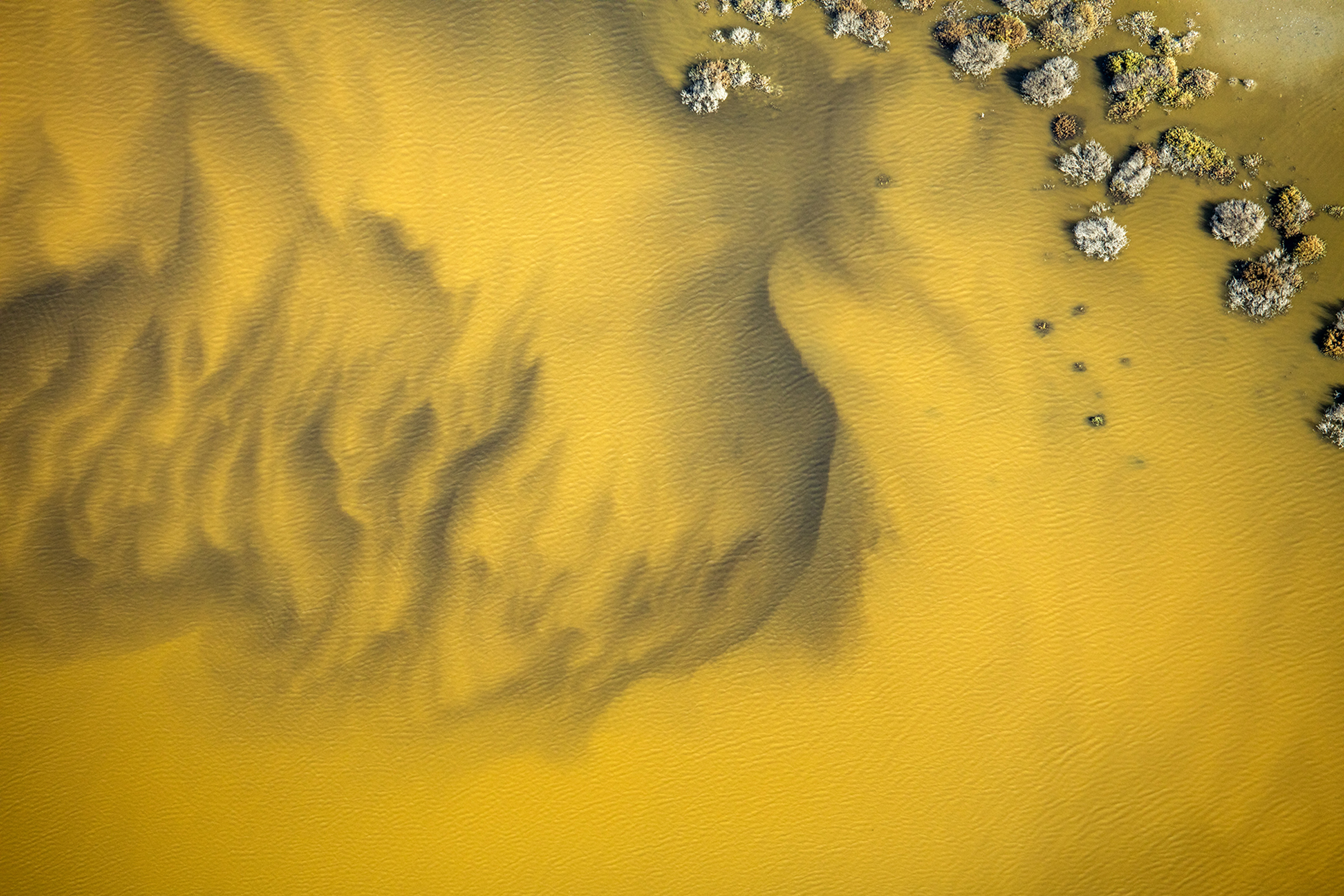 As the salinity of the South Bay’s salt ponds changes so too does the pigmented microorganisms that thrive in the brine, resulting in an array of striking colors.