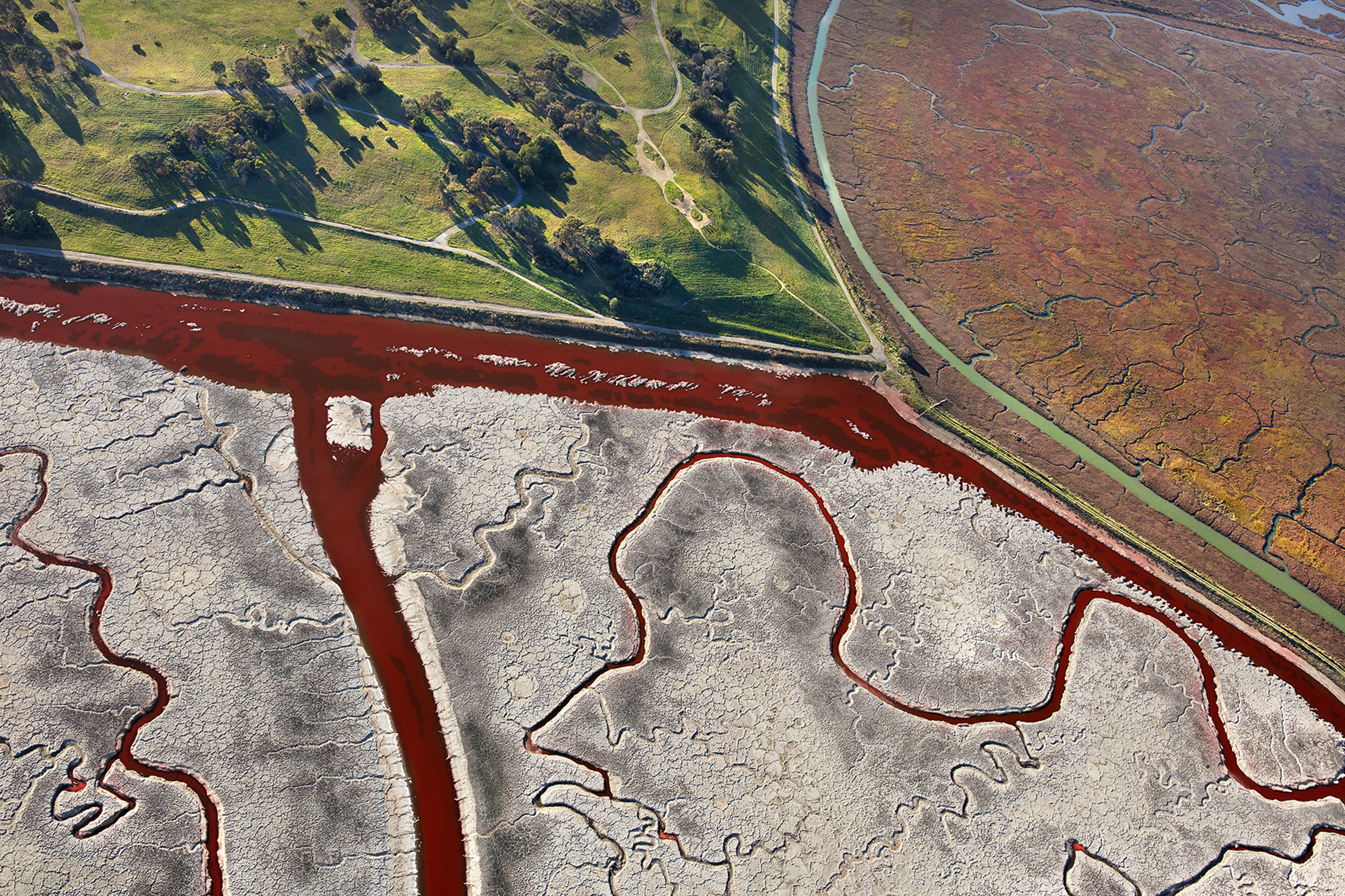 A confluence of bayfront parklands, budding tidal marsh, and dry salt flats.