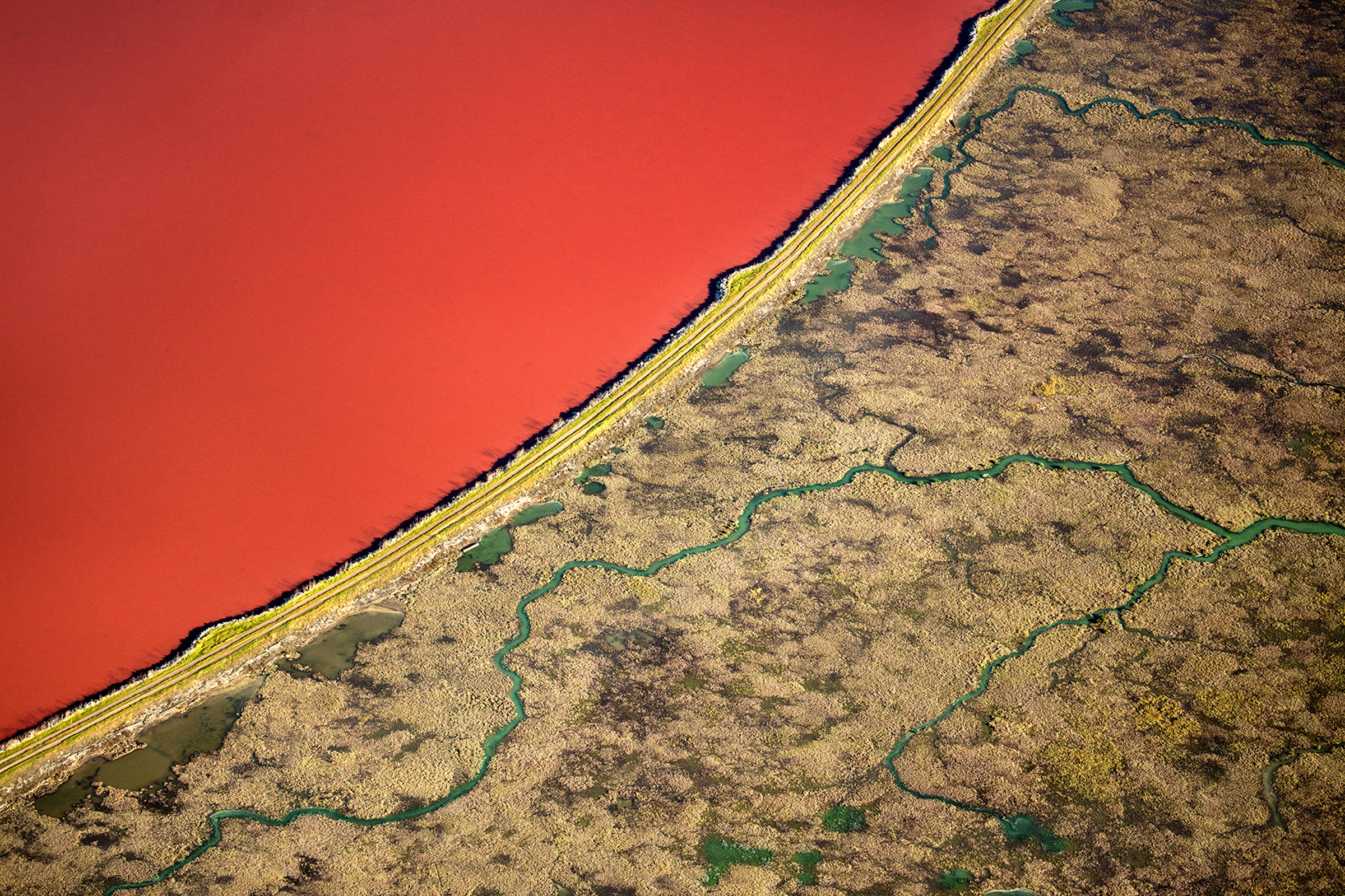 Both levees and wetlands can protect surrounding communities from sea level rise.