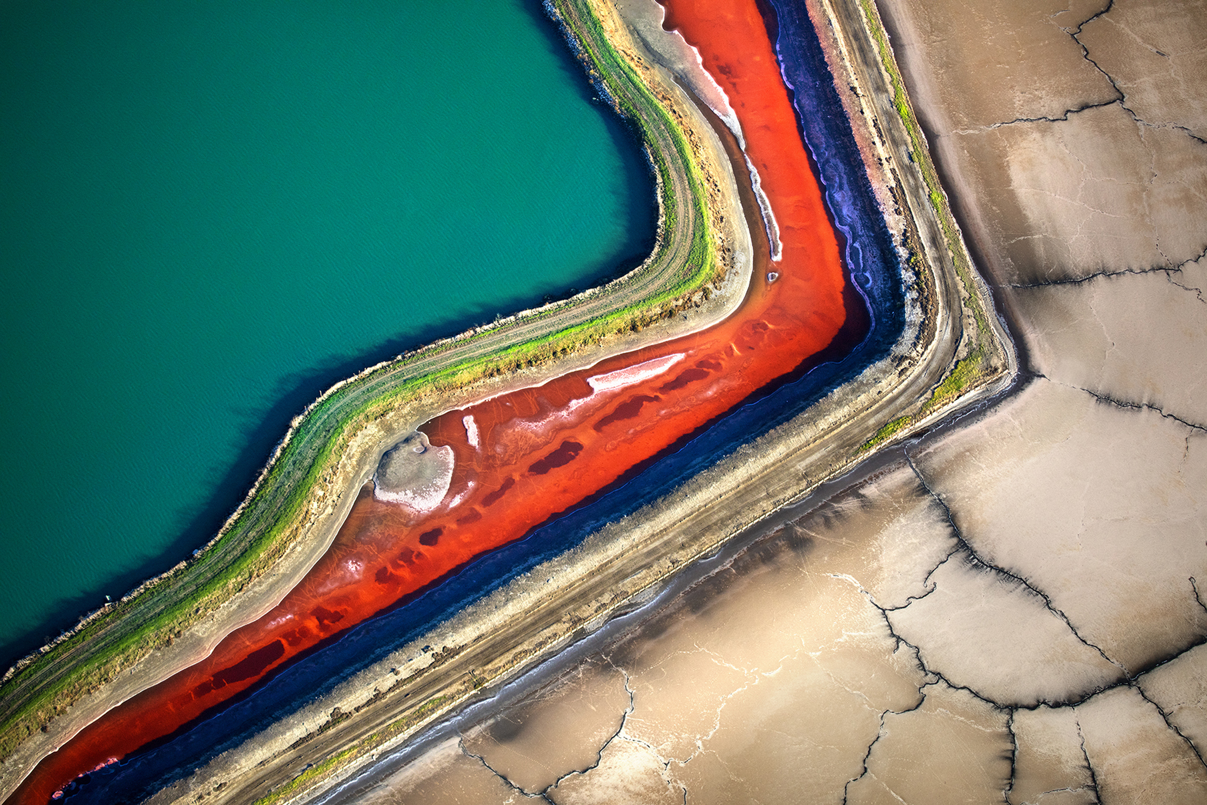 Along the coast of the South Bay, the soft curves of tidal wetlands often butt up against the straight lines of manmade levees.