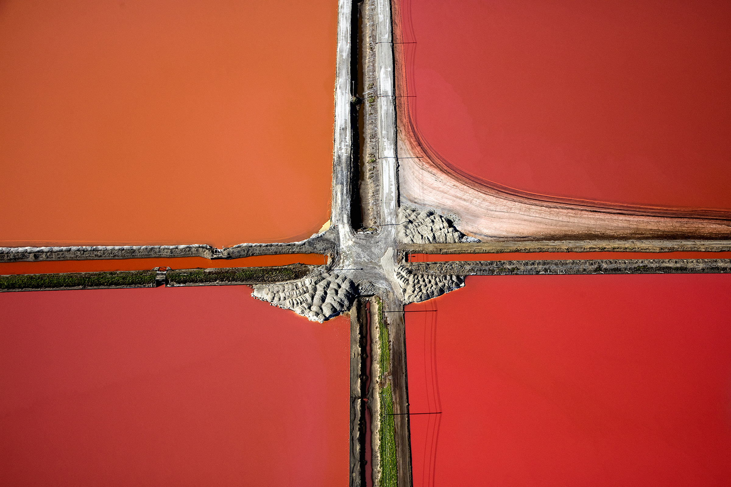 Halobacteria produce a red tinge in the South Bay’s saltiest ponds.