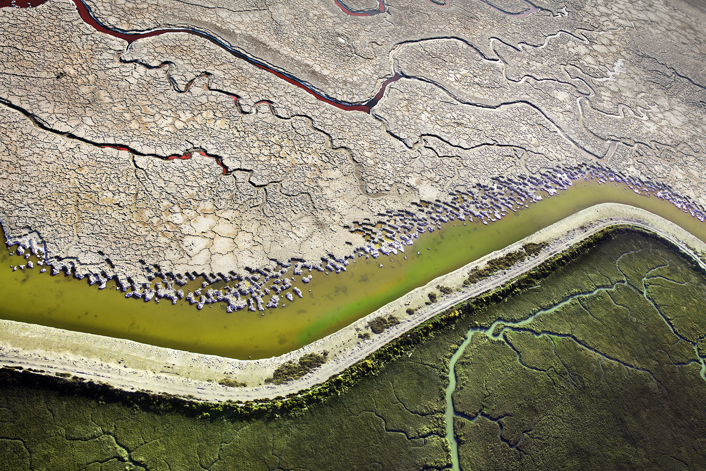A levee divides a parched salt pond from a burgeoning wetland.