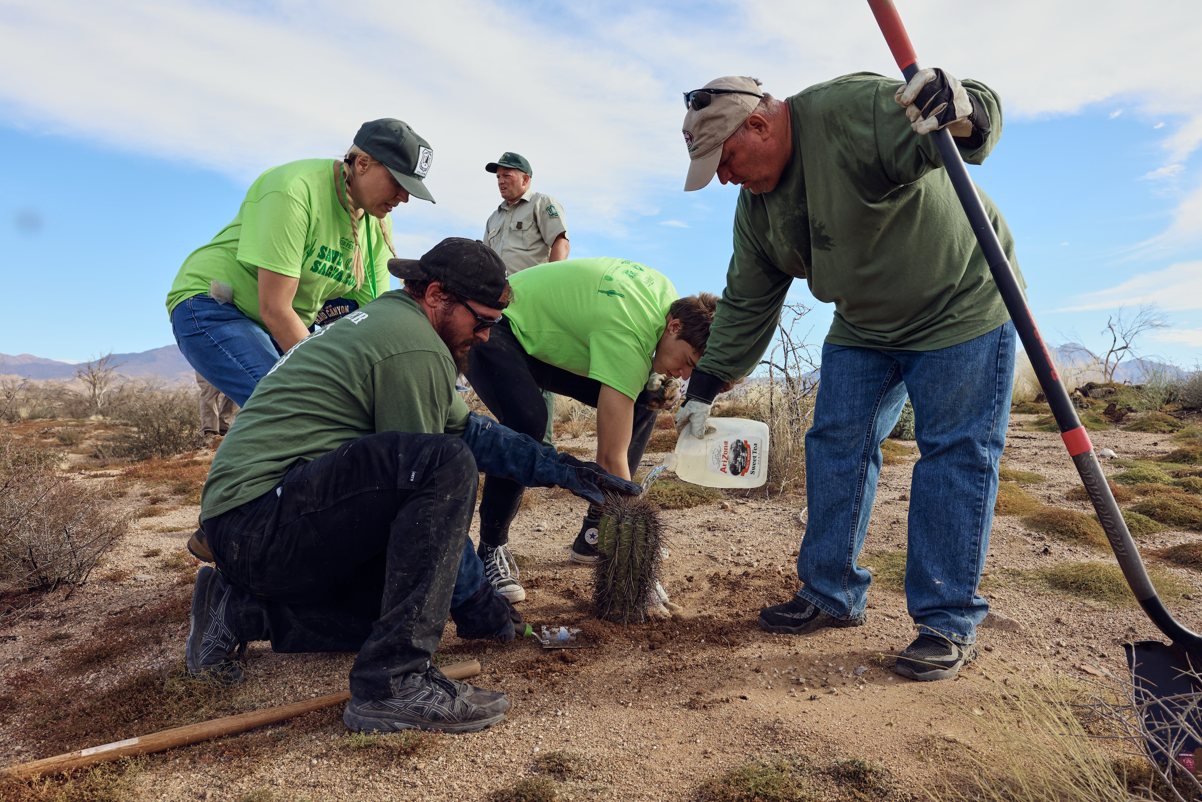 US Forest Service volunteers transplanting and watering a cactus in the Tonto National Forest. Photograph by Kendra Smith