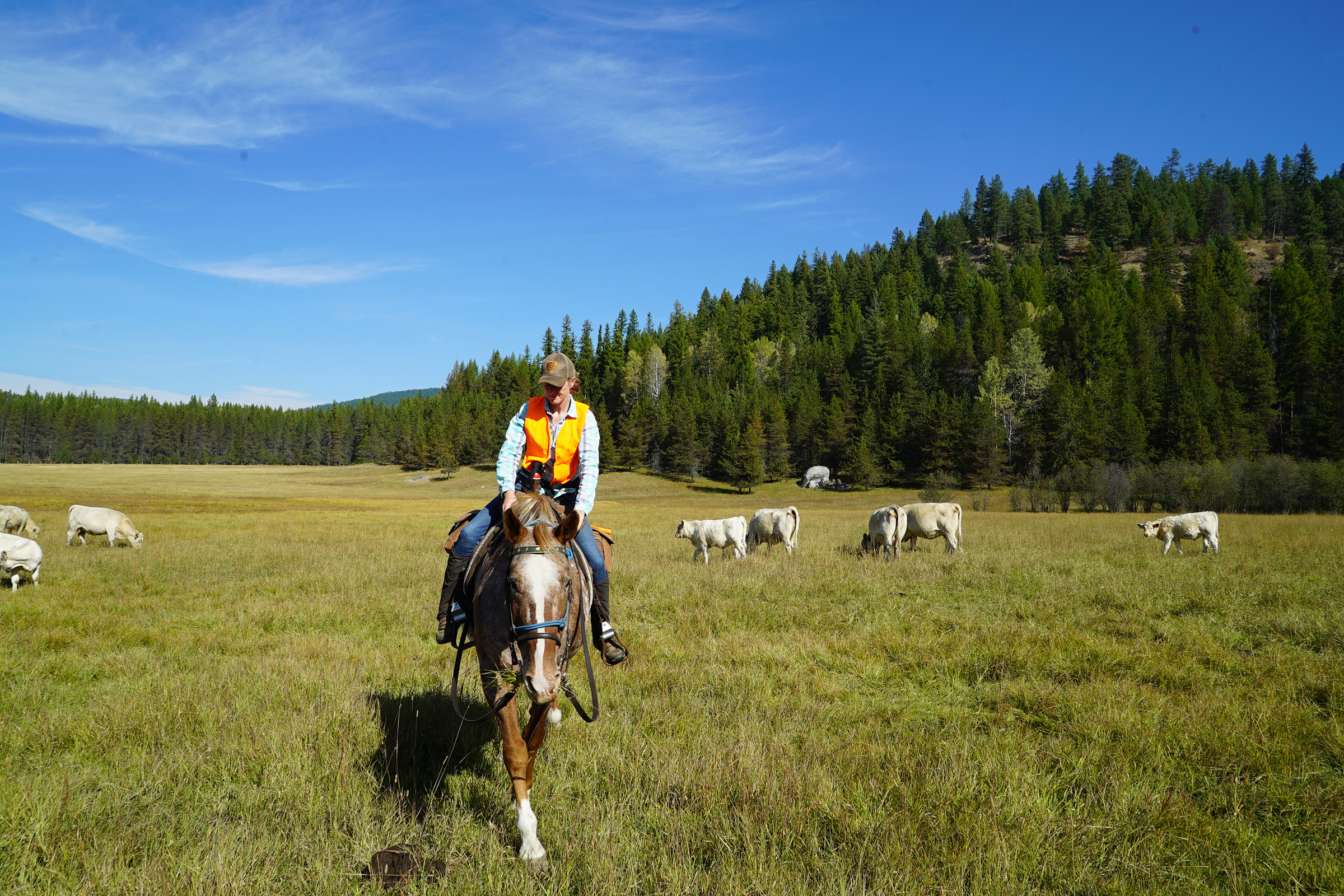 Range rider Janey Howe rides in a field in northeastern Washington. Photograph by Lucy Sherriff