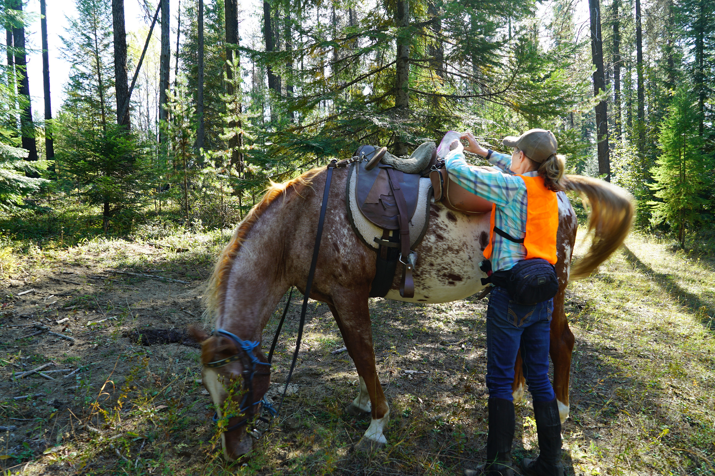 Range rider Janey Howe dismounts from her horse, Billy, in a forest in northeastern Washington. Photograph by Lucy Sherriff