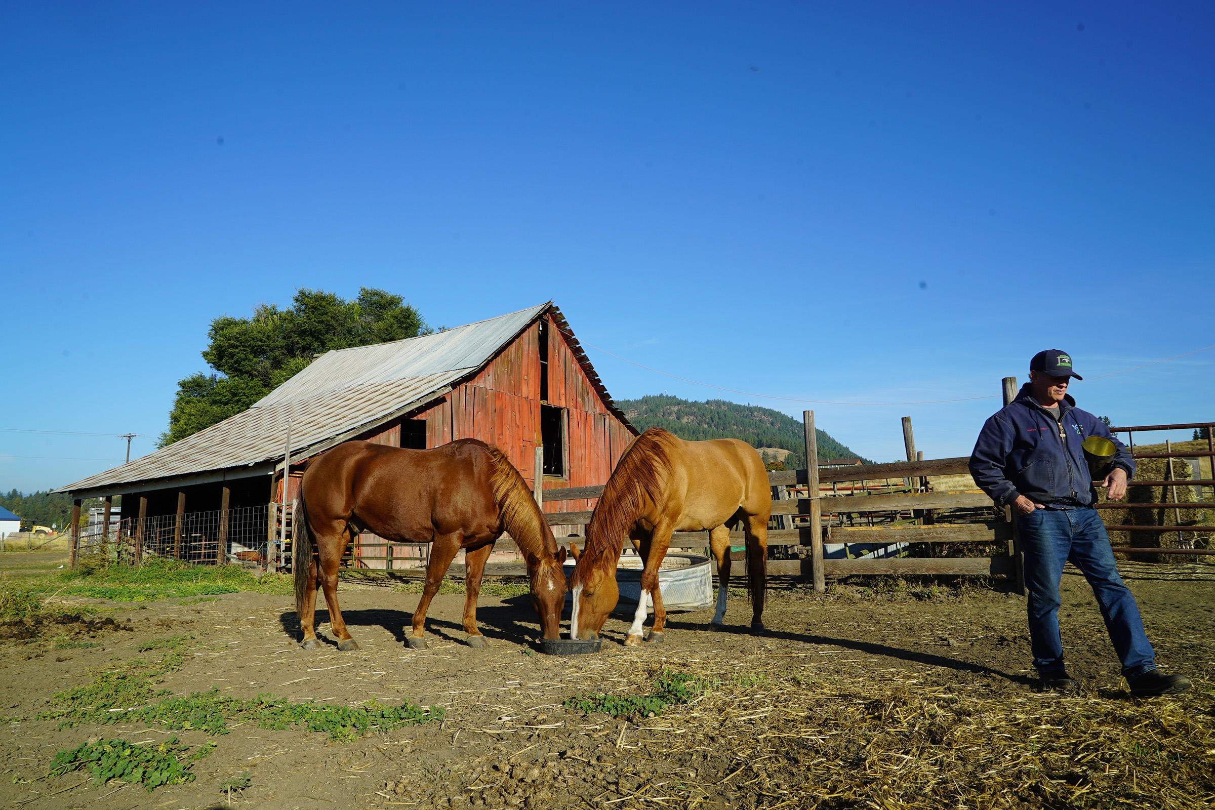 Cowboy Wes Matlock—who prefers not to be called a range rider—feeds his horses. Photograph by Lucy Sherriff