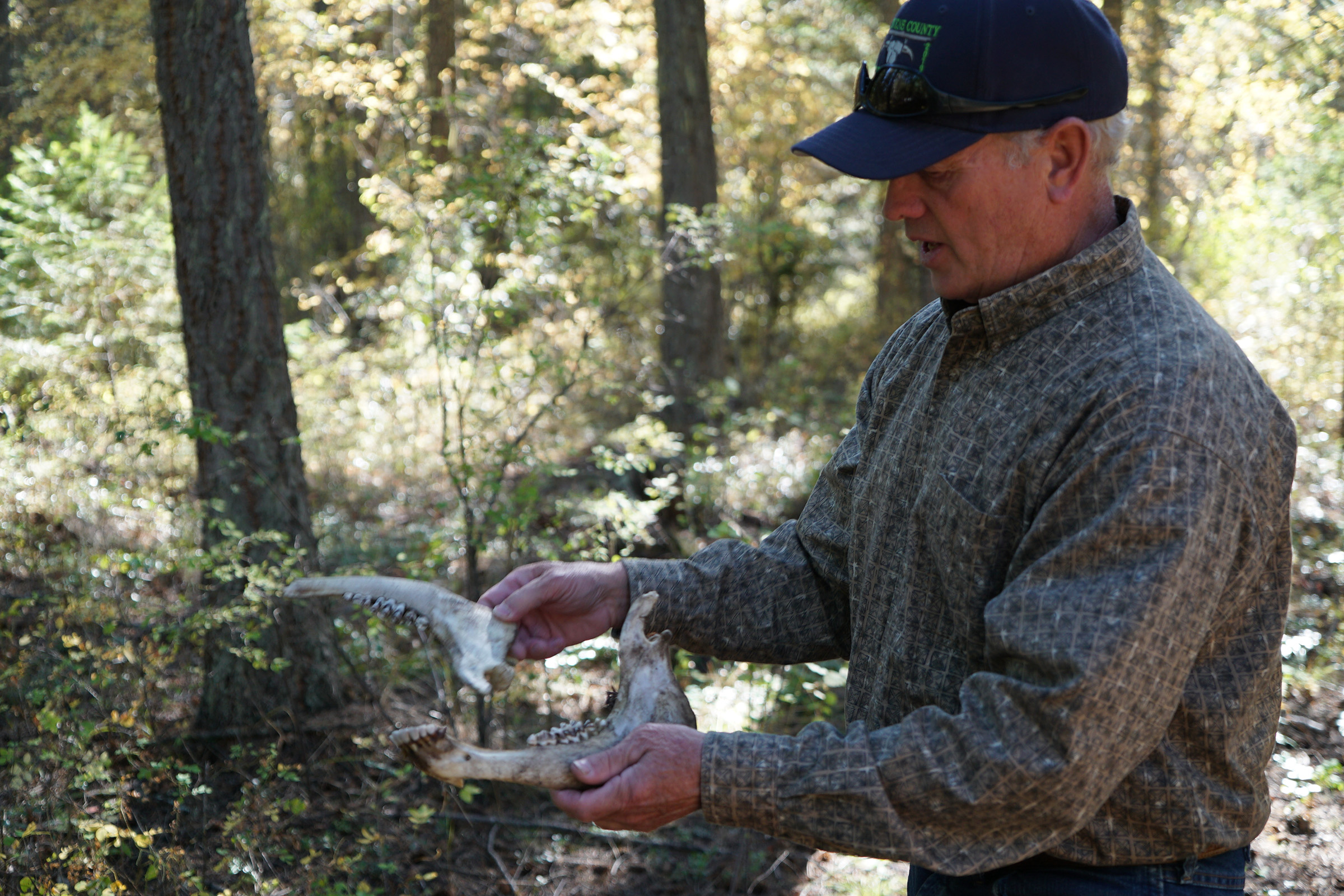 Cowboy Wes Matlock holds the jaw bones of a cow carcass found in the forests of northeastern Washington. Photograph by Lucy Sherriff