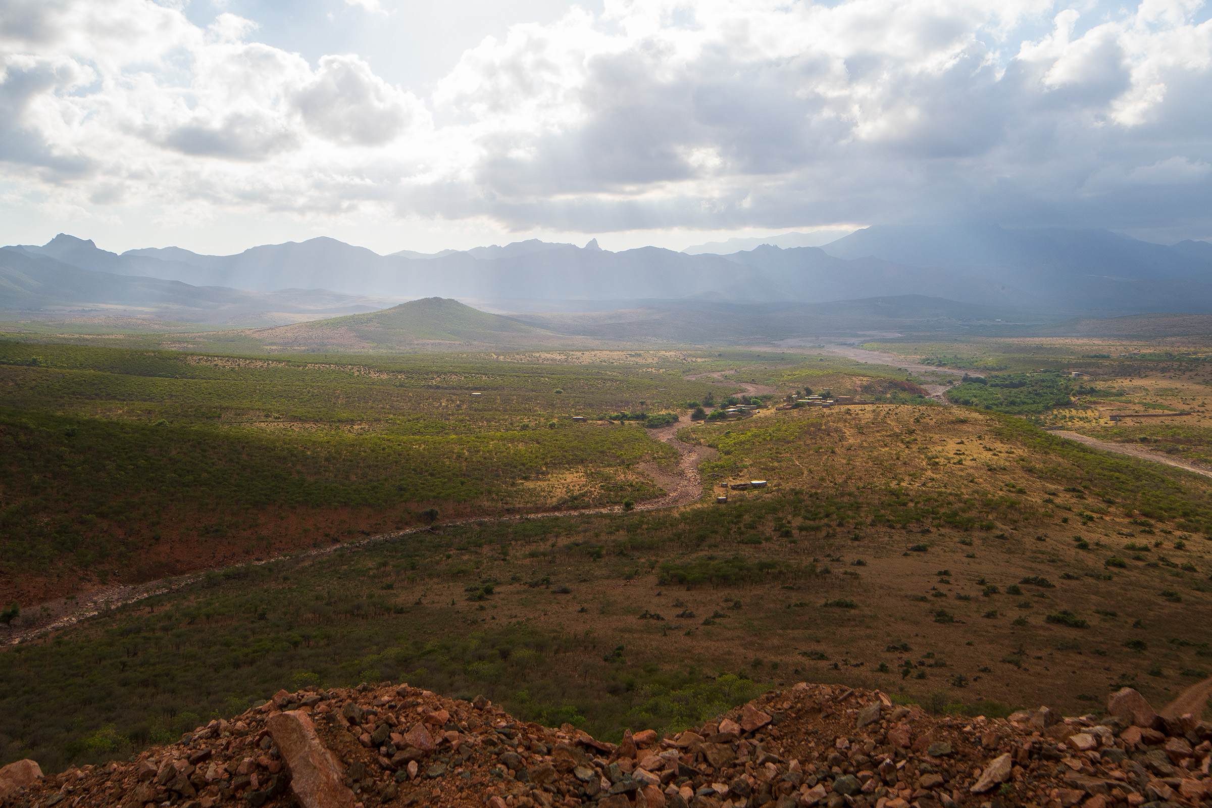 While seemingly sparse, Socotra is one of the most biodiverse places on Earth.