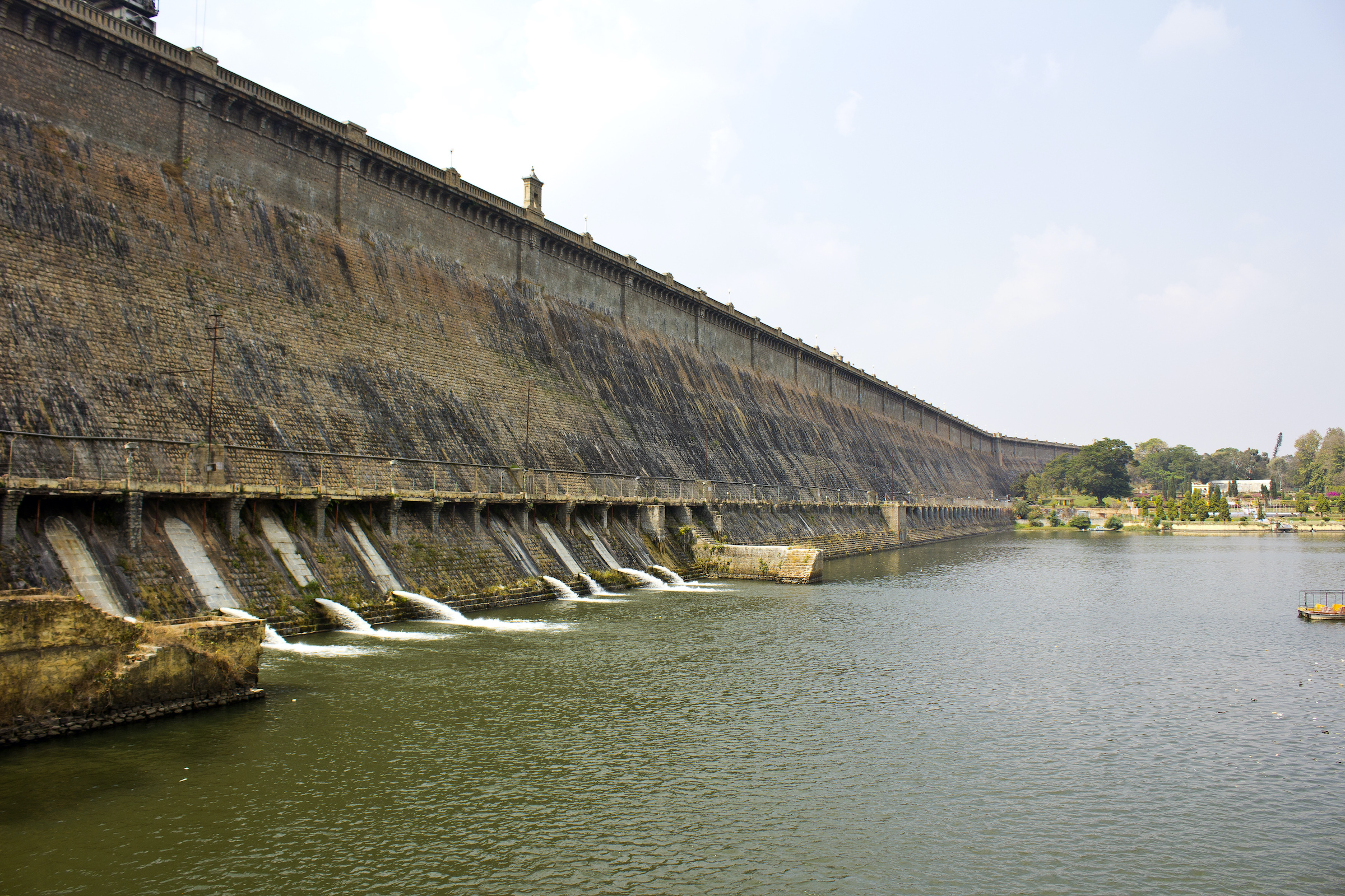 While dams, like the Krishnarajsagar Dam seen here in Karnataka, have contributed to hump-backed mahseer habitat loss and subsequent species decline, they have also protected some populations from non-native species by creating physical barriers. Photograph by tantrik71