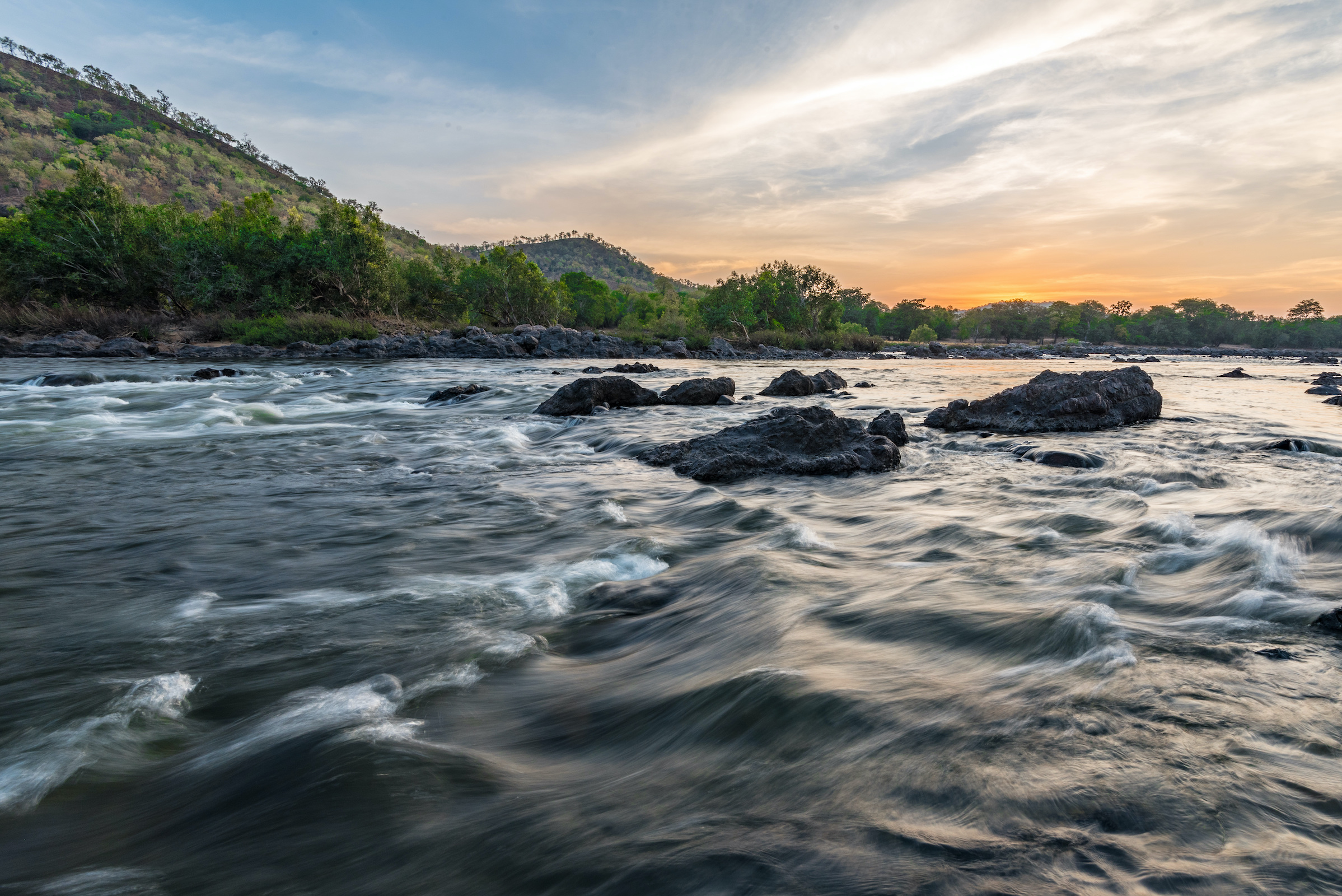 The Kaveri River flows through the Galibore Nature Camp in Karnataka at sunset. Efforts to protect the hump-backed mahseer include protecting and restoring the riparian habitats they depend on. Photograph by Srinivasa S.