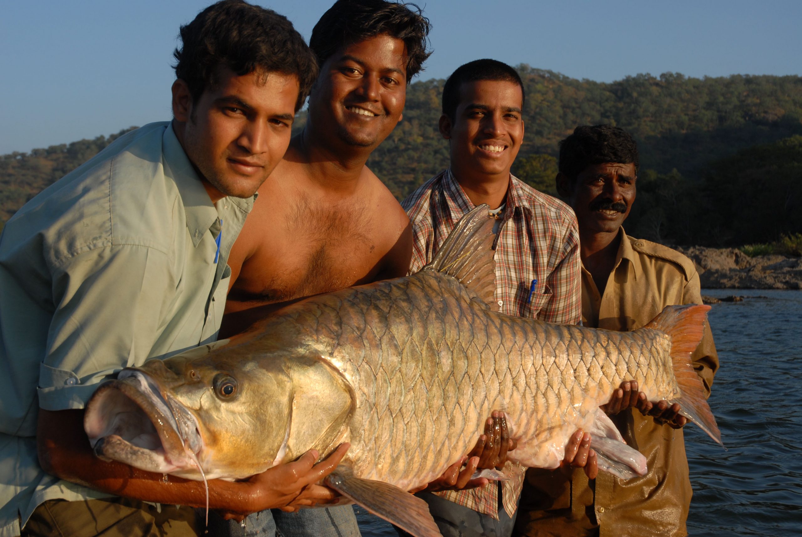 Scientists are partnering with anglers and guides as well as local fishers to learn as much as they can about the enormous and critically endangered hump-backed mahseer. Photograph by John Bailey