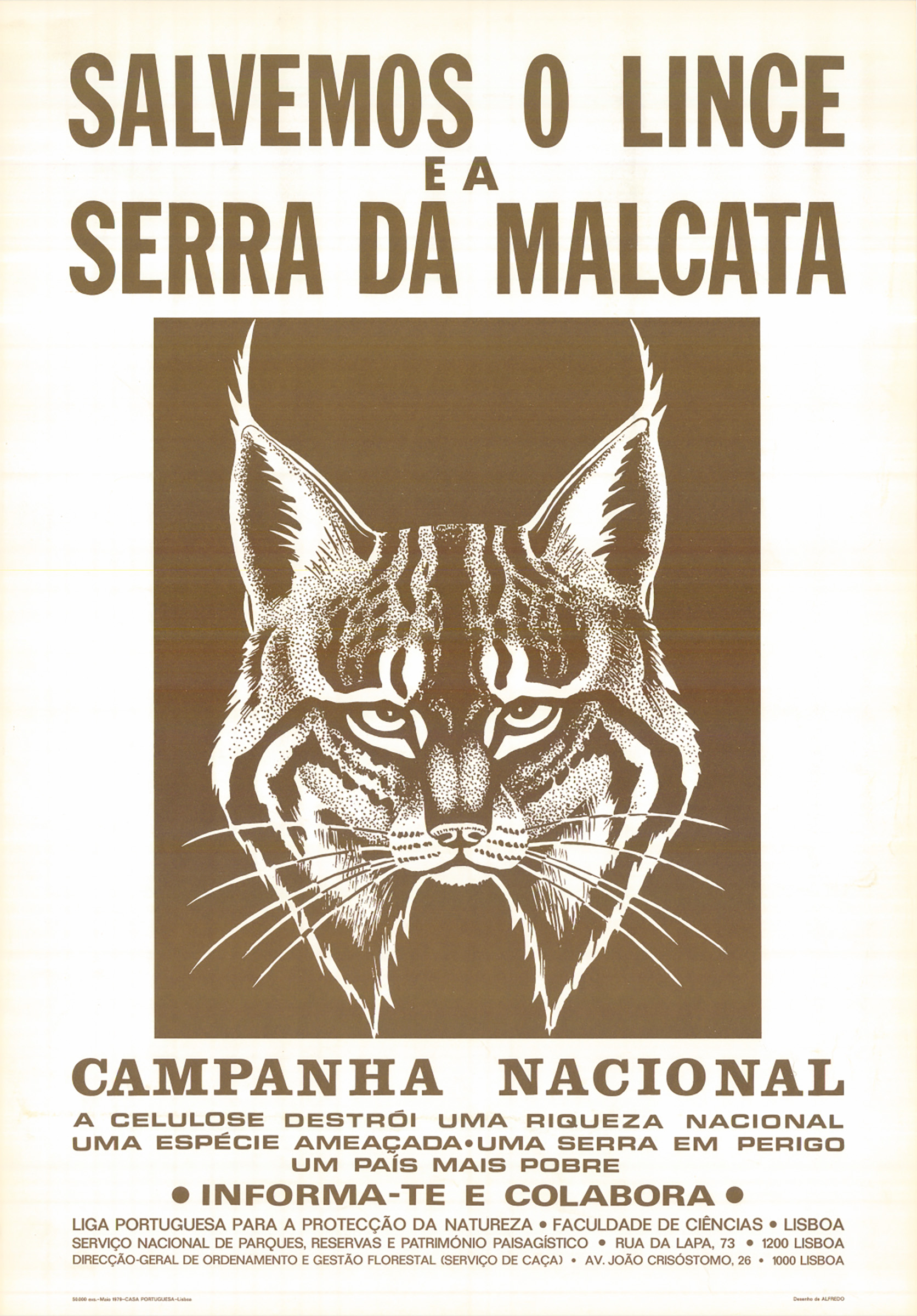 A historic poster from early efforts to conserve the Iberian lynx. Photograph courtesy of the Liga para a Protecção da Natureza