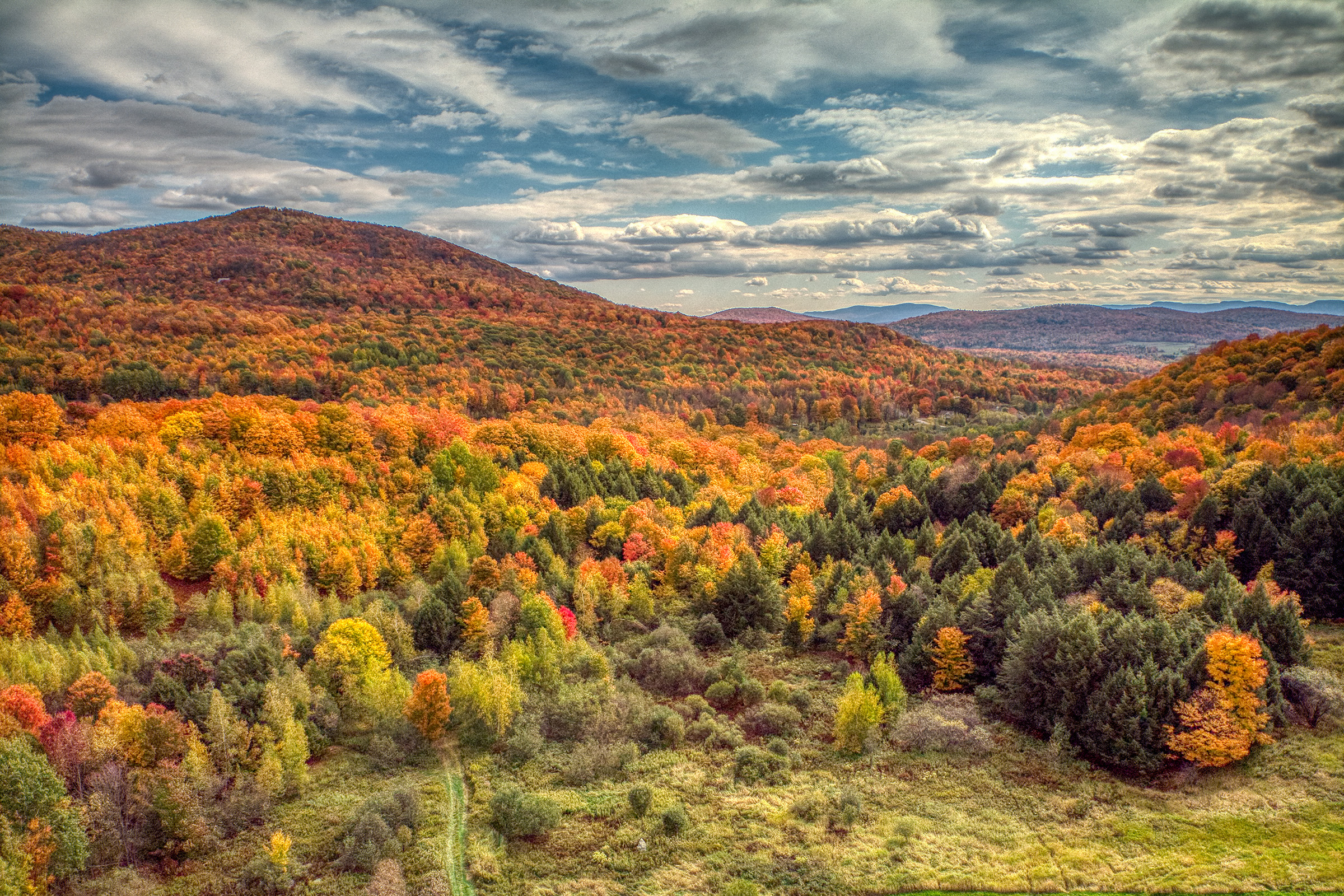 Aerial view of a vibrant forest in the northeast US sporting its fall foliage. Photograph by Weblapd, Shutterstock