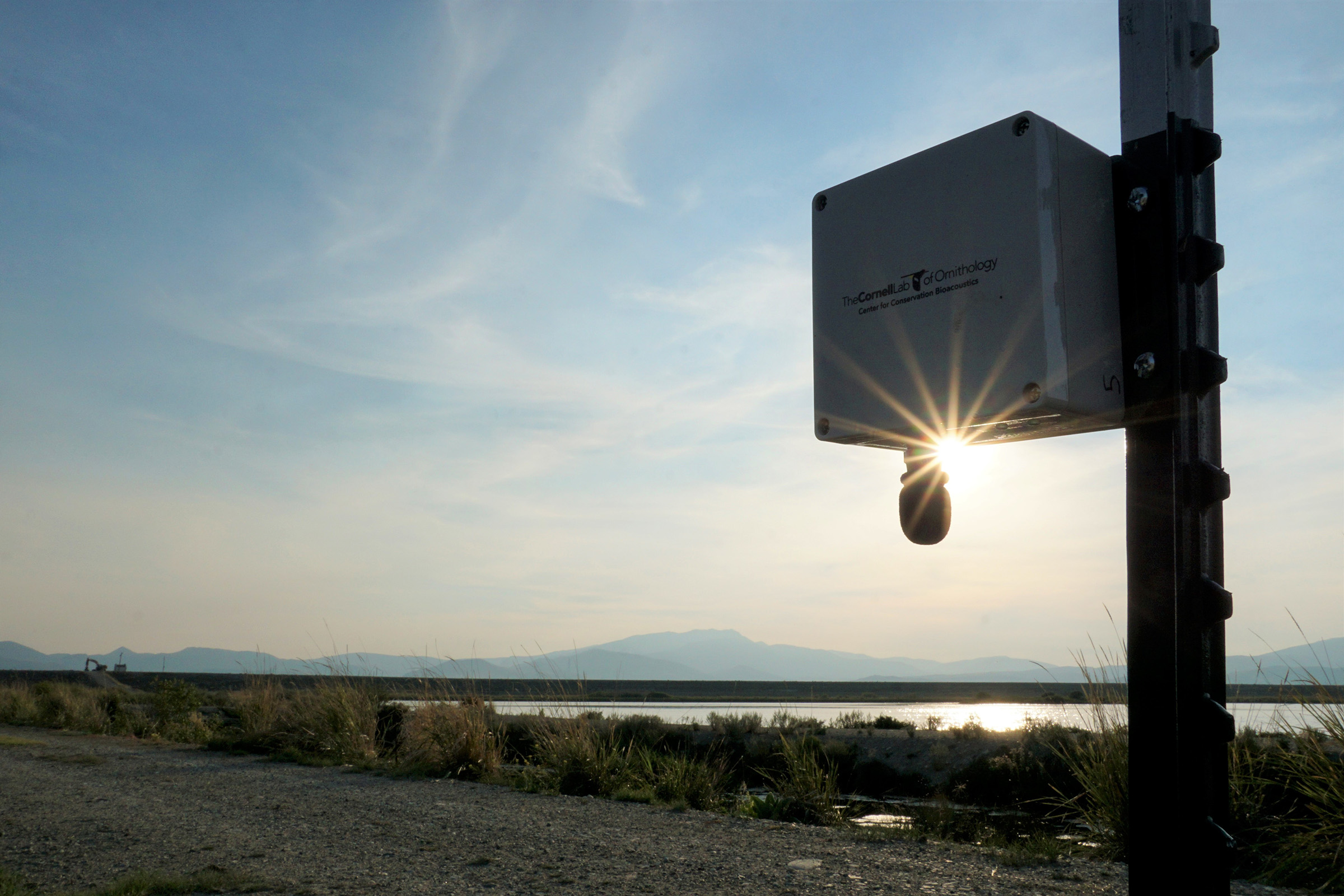 An autonomous recording unit (ARU) from Cornell Lab listens to the complex orchestra of nature. Photograph by Connor Wood, Cornell Lab