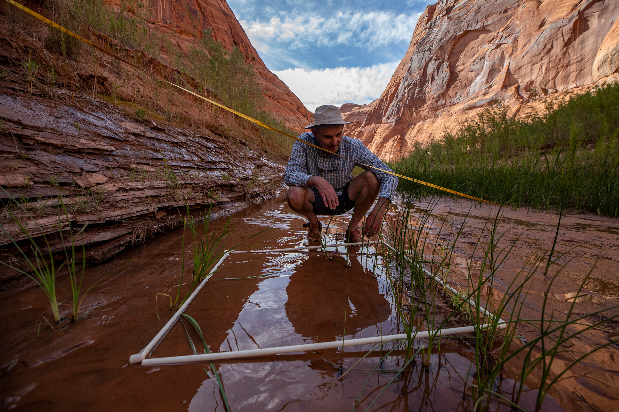 Botanist Marc Coles-Ritchie takes inventory at a previously flooded site in Moqui Canyon.