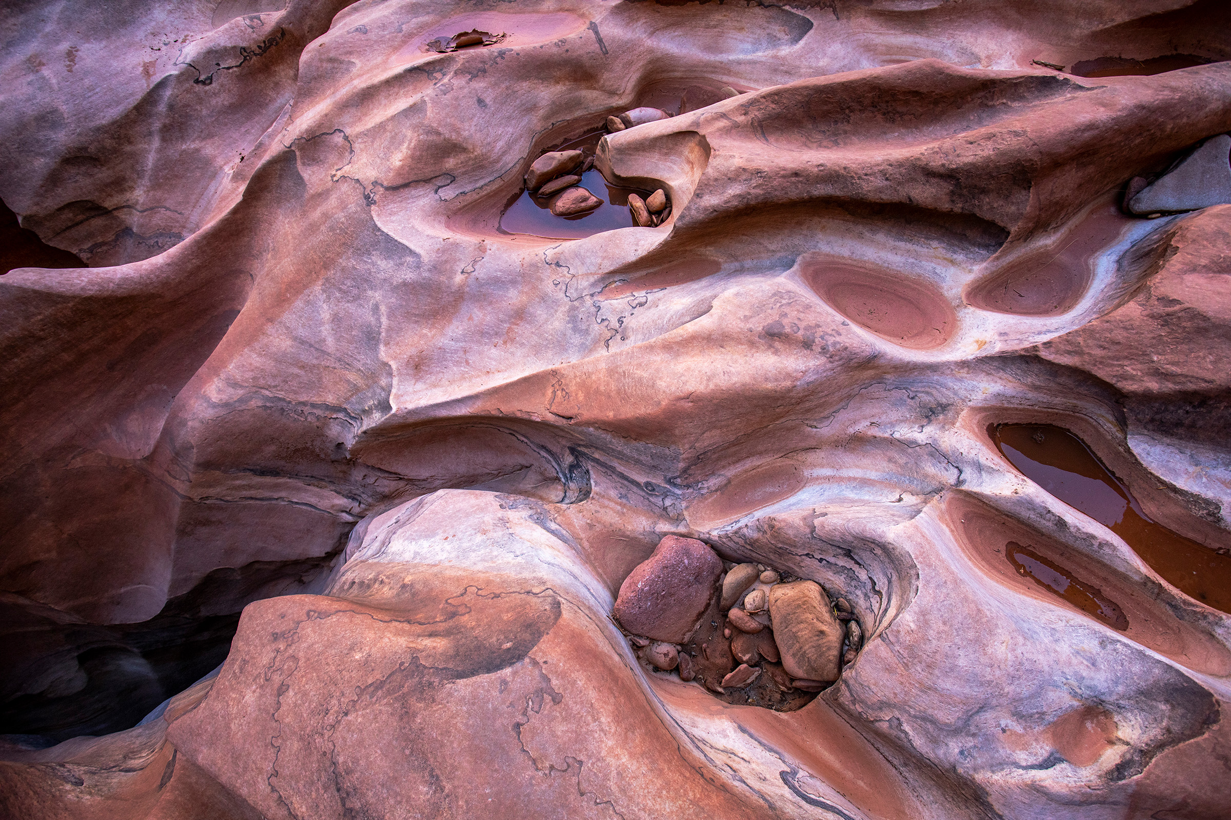 Water-sculpted bedrock in Glen Canyon.