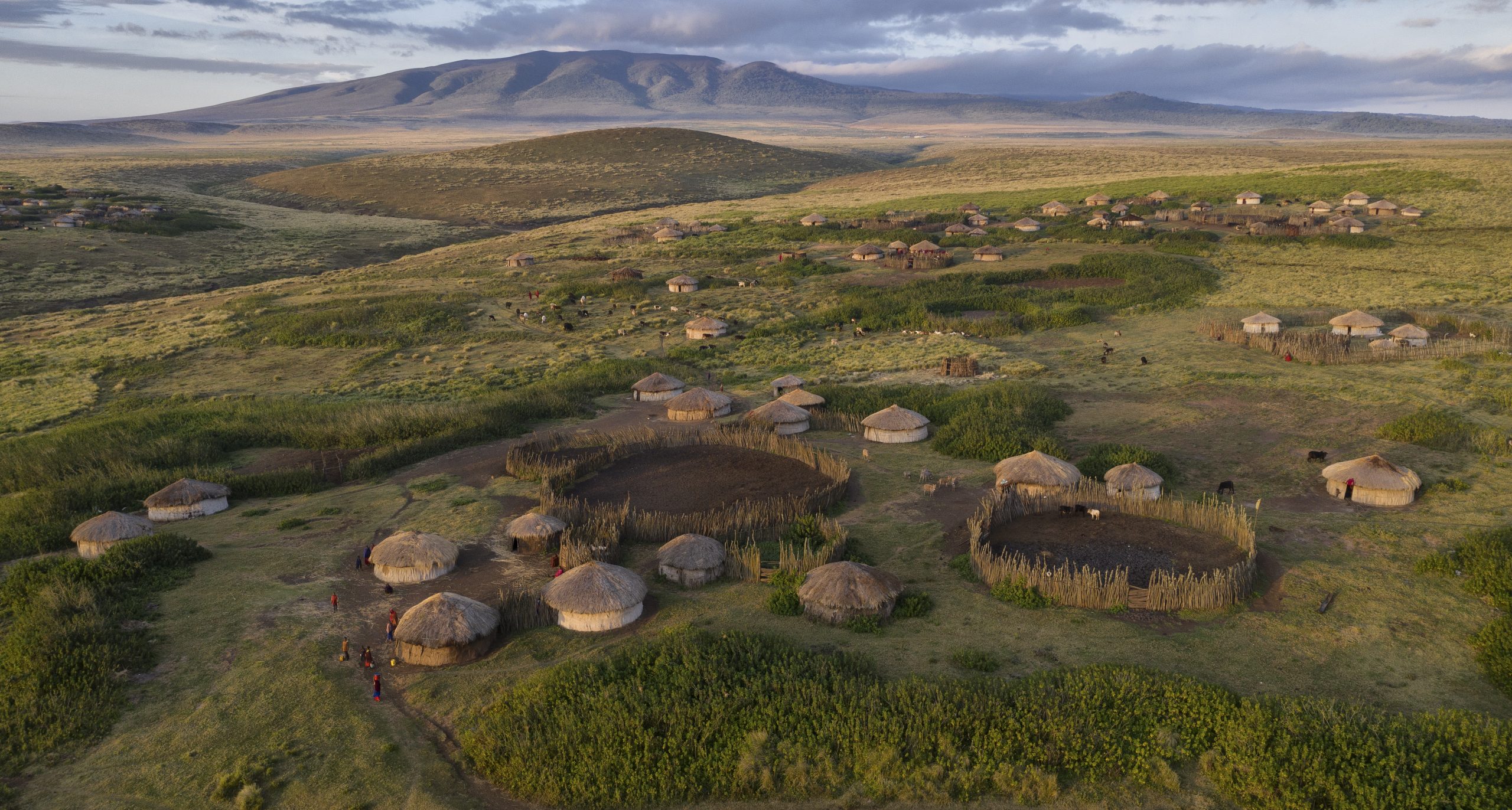 Aerial view of Maasai community bomas: family homesteads with huts around livestock enclosures, east of Ngorongoro Conservation Area, Tanzania. Enclosures like these help to reduce human-wildlife conflict. Photograph by Charlie Hamilton-James