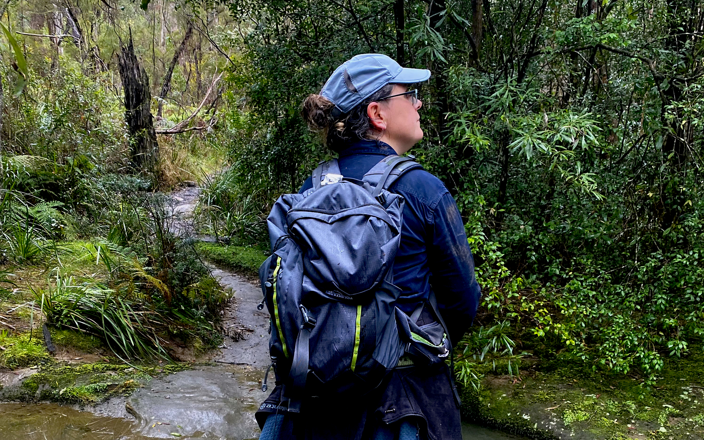 Ecologist Vicky Austin stops to listen for lyrebirds in Birdwood Gully in the Blue Mountains. Photograph by Carly Cassella