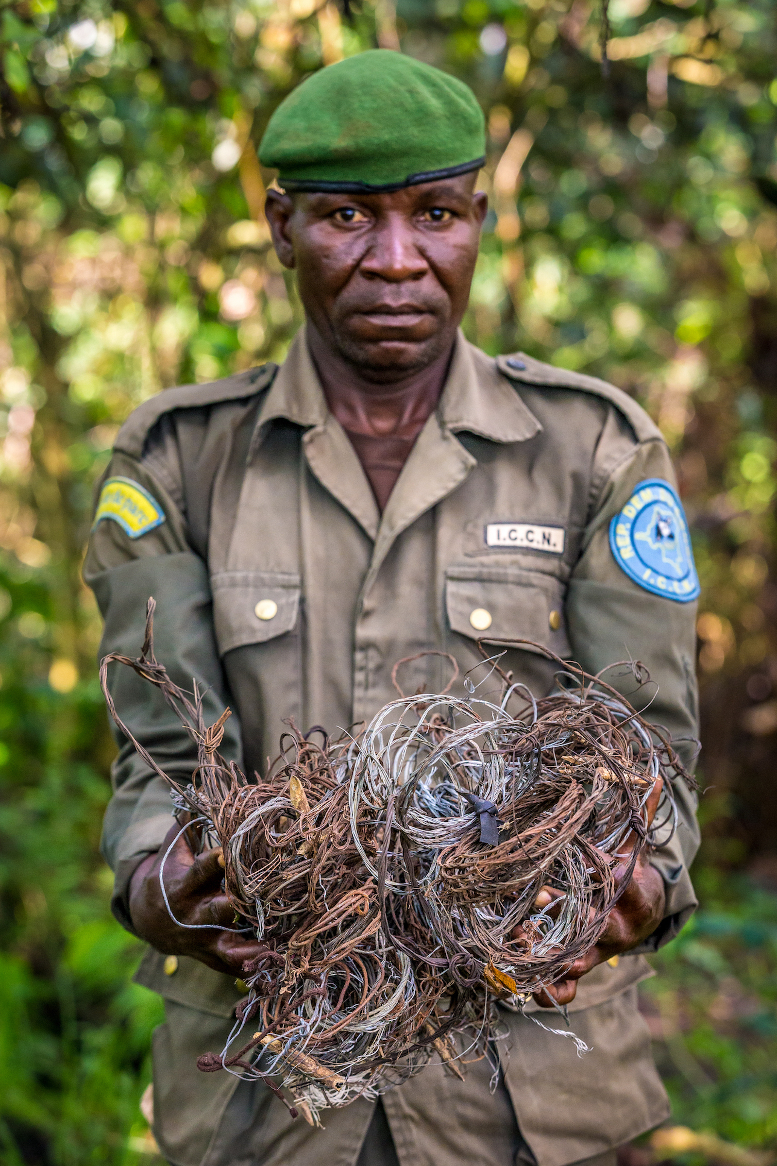 A park ranger holds a knotted pile of snares gathered from the forest inside Kahuzi-Biega National Park. Although gorillas are not the intended targets of this indiscriminate hunting method, many have been caught by snares and have lost limbs or their lives as a result. Photograph by Marcus Westberg