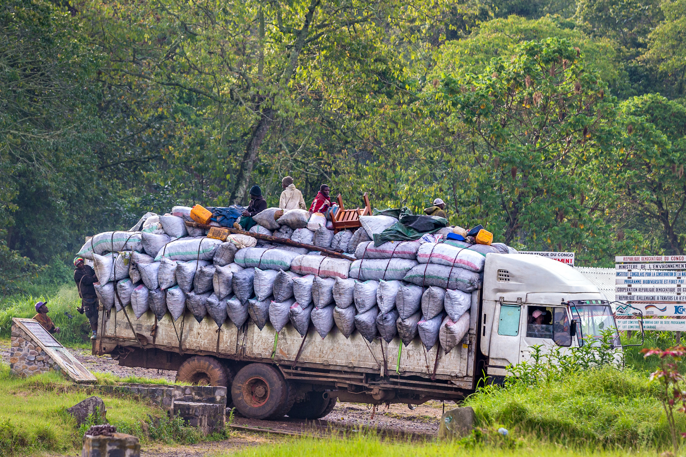 A truck fully loaded with bags of charcoal prepares to leave the forest near Kahuzi-Biega National Park. Illegal logging and charcoal production (intended for cooking fires) are two of the greatest threats to forest habitat within the Park and elsewhere in the Congo Basin. Photograph by Marcus Westberg