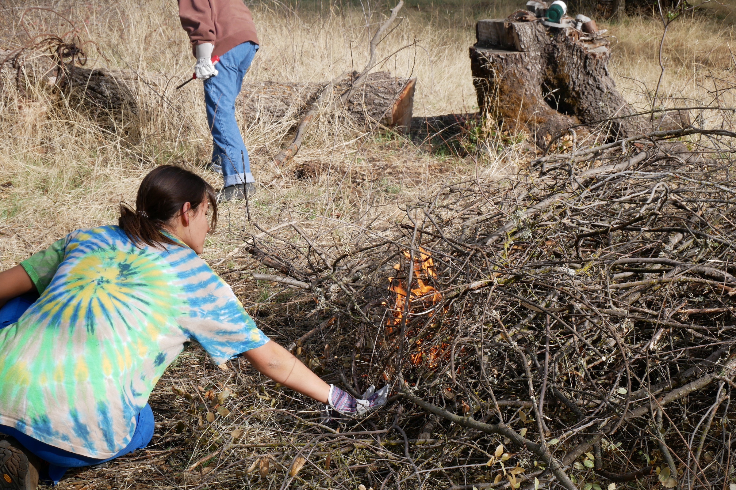 Students from the University of California at Berkeley tend to burning piles of tinder. Photograph by Ashley Braun