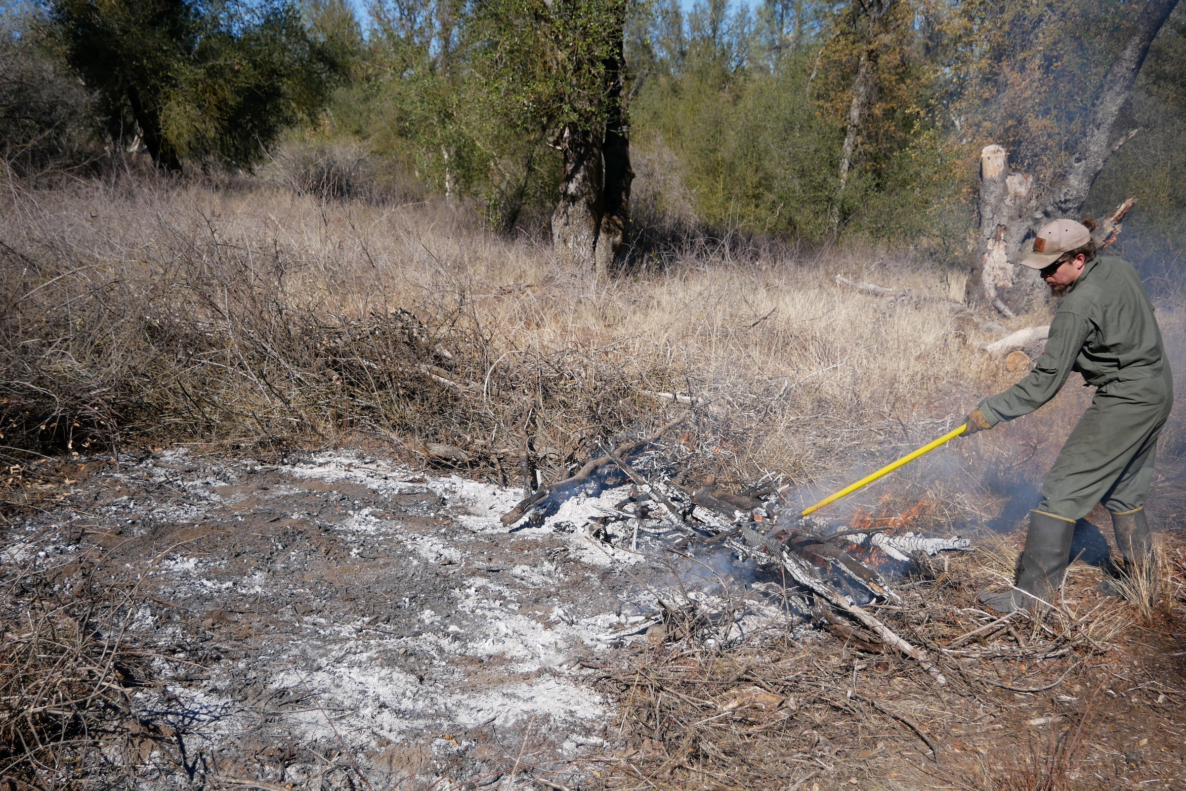 After piles are burned and extinguished, fire practitioners will rake the ash into the soil to fertilize the roots below. Photograph by Ashley Braun