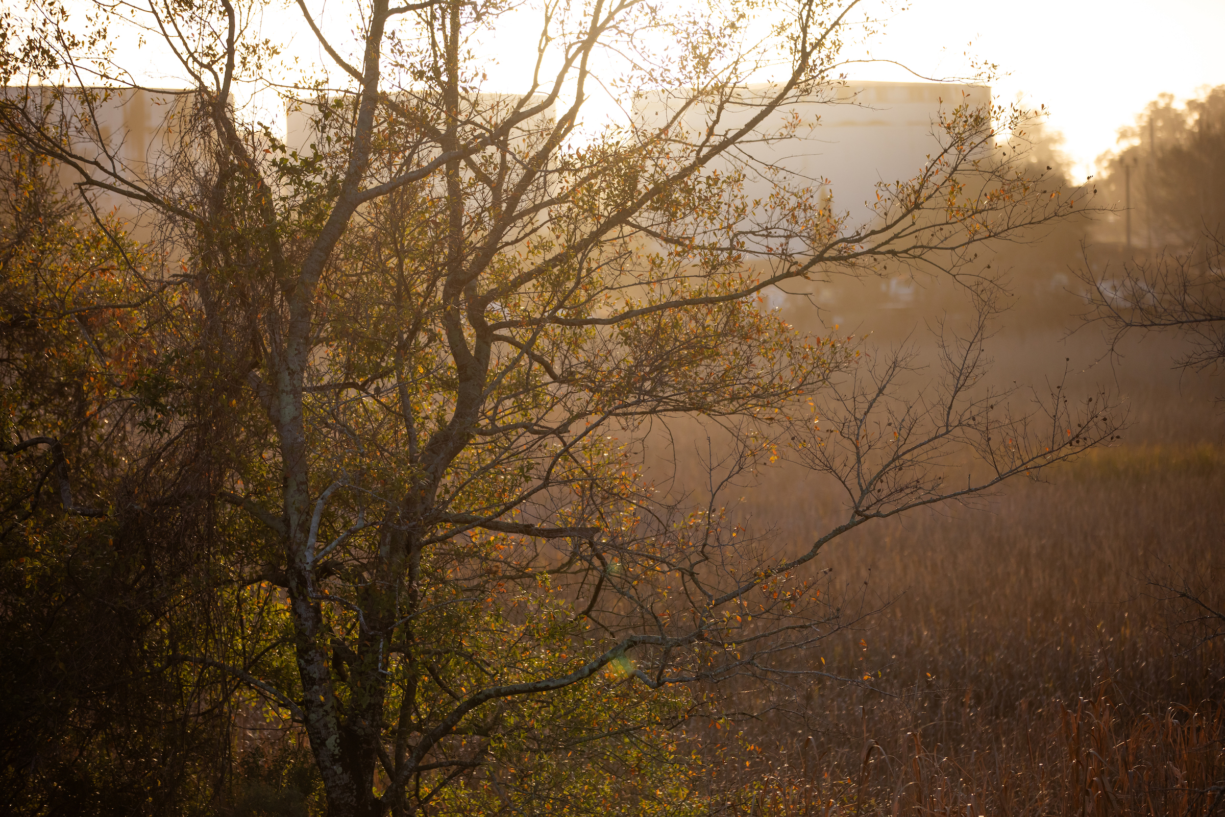 Industry and nature intermingle along much of the Cape Fear River and its tributaries.