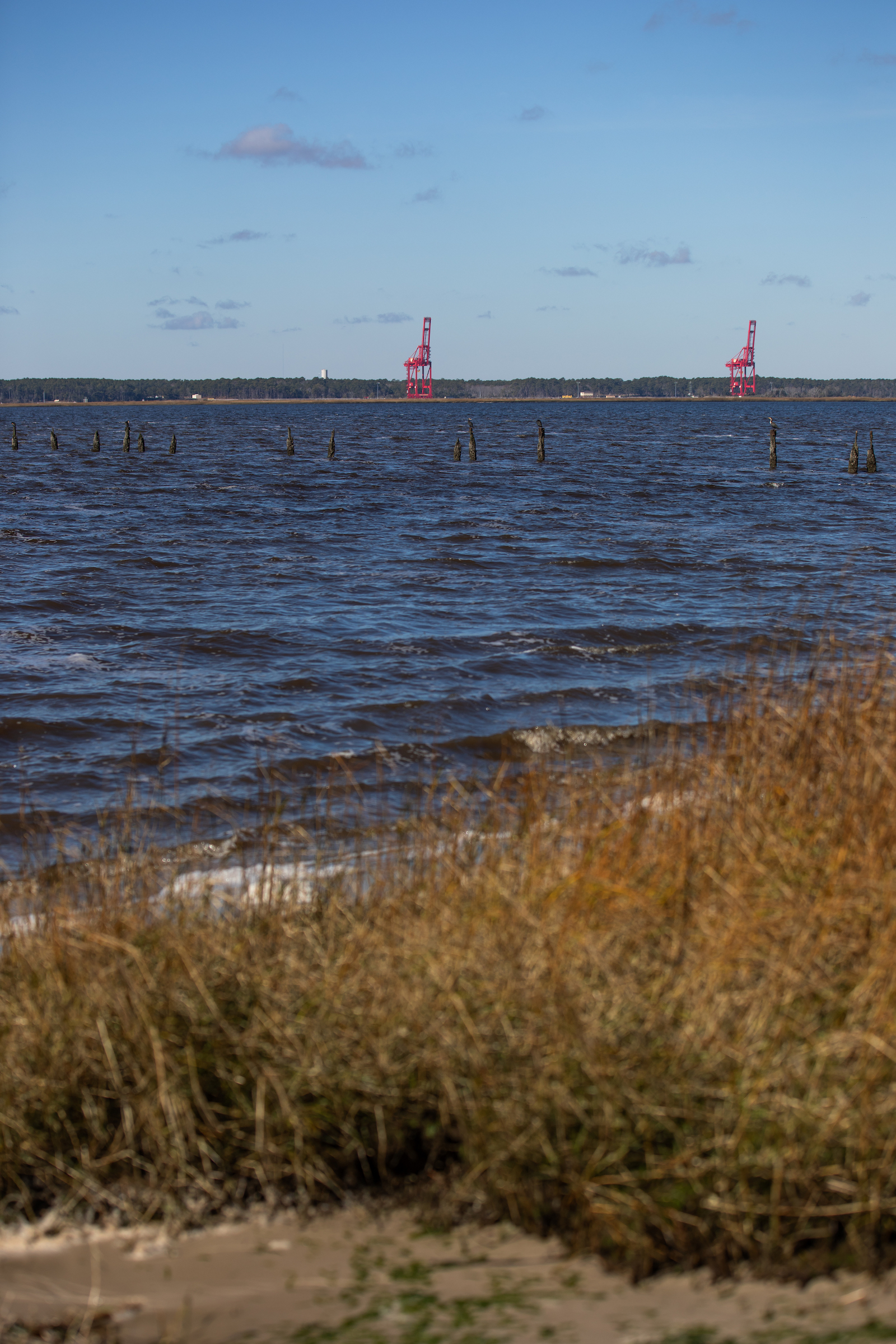 The Cape Fear River flows past Kure Beach, North Carolina with cranes in the background.