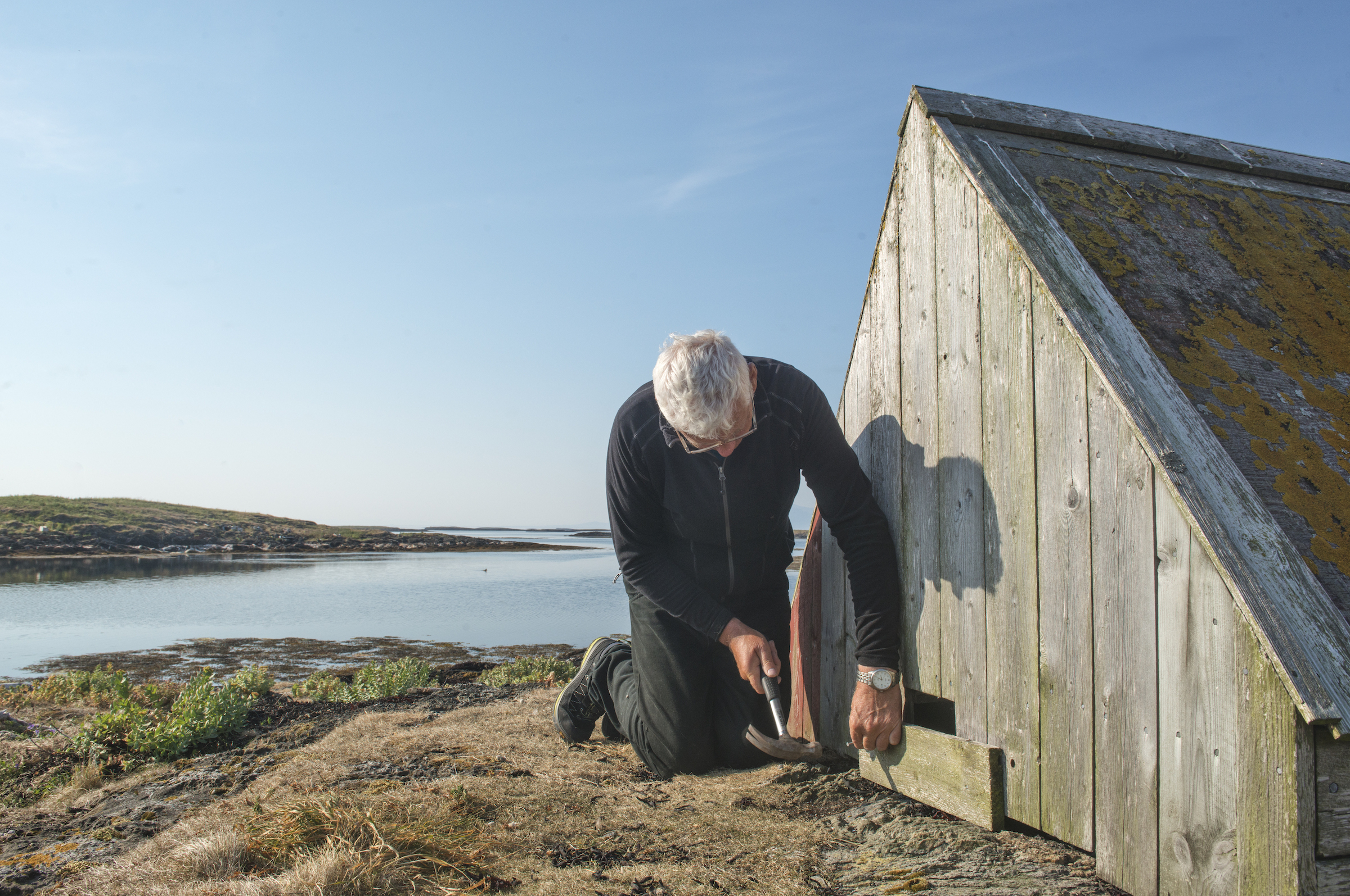 While bird keeping is a tradition primarily upheld by women in Norway, men are often involved in the maintenance and repair of eider houses in between nesting seasons. Photograph by Pål Hermansen