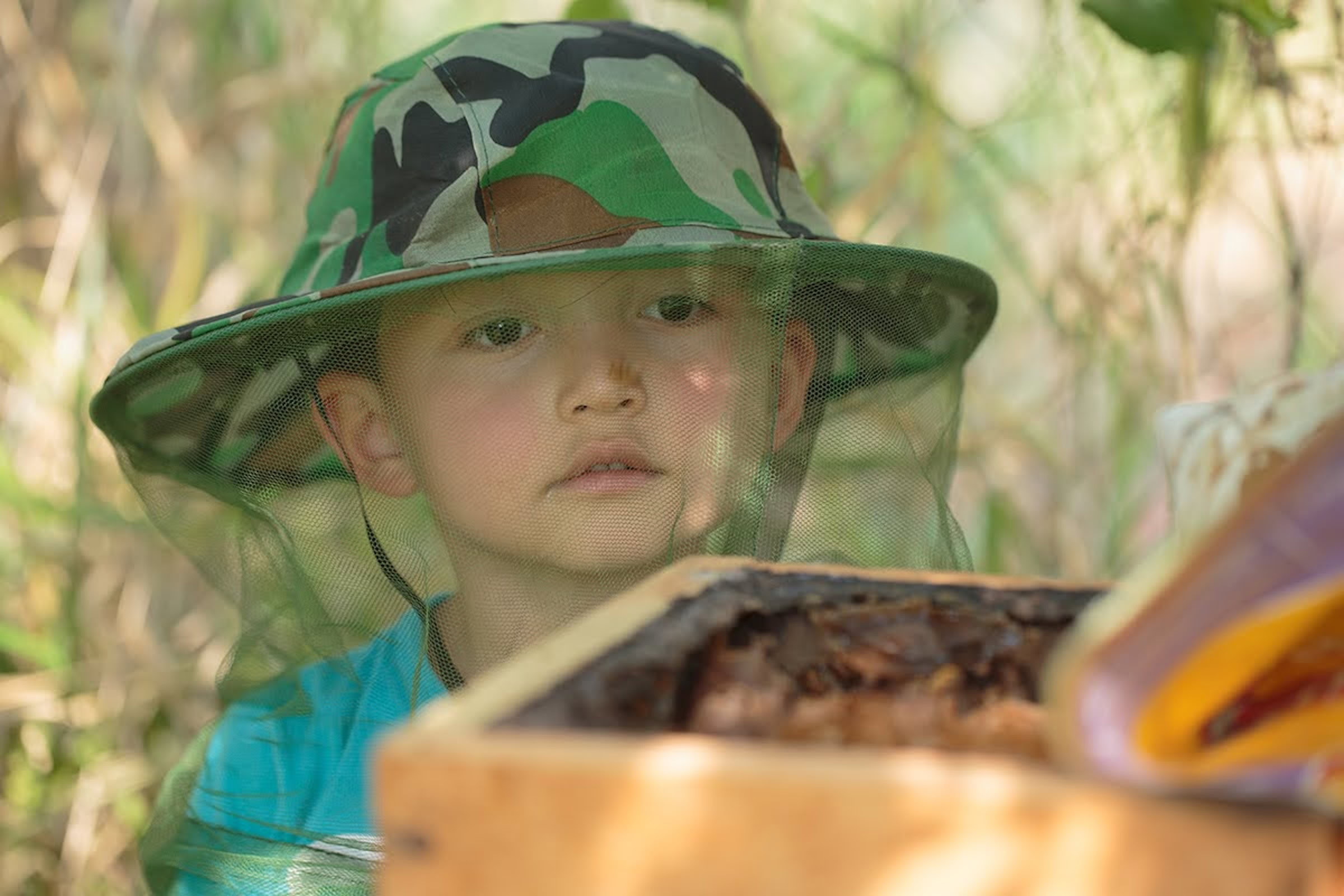 A young boy peers into a hive at Meliponário Pasqualini, where several species of bees endemic to the Atlantic Forest region are kept. Photograph by Sidney Cardoso