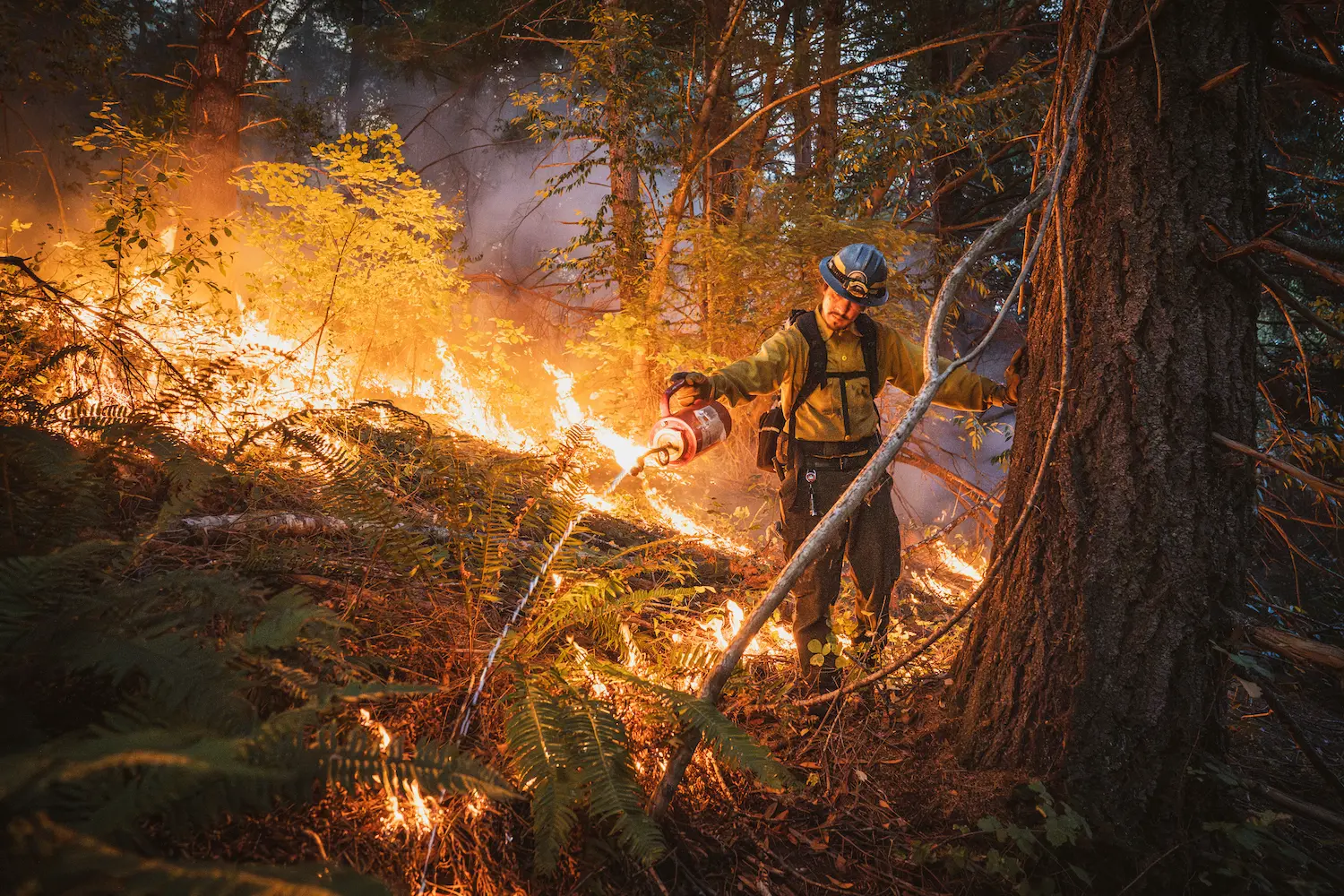 Human Nature Winner Maddy Rifka