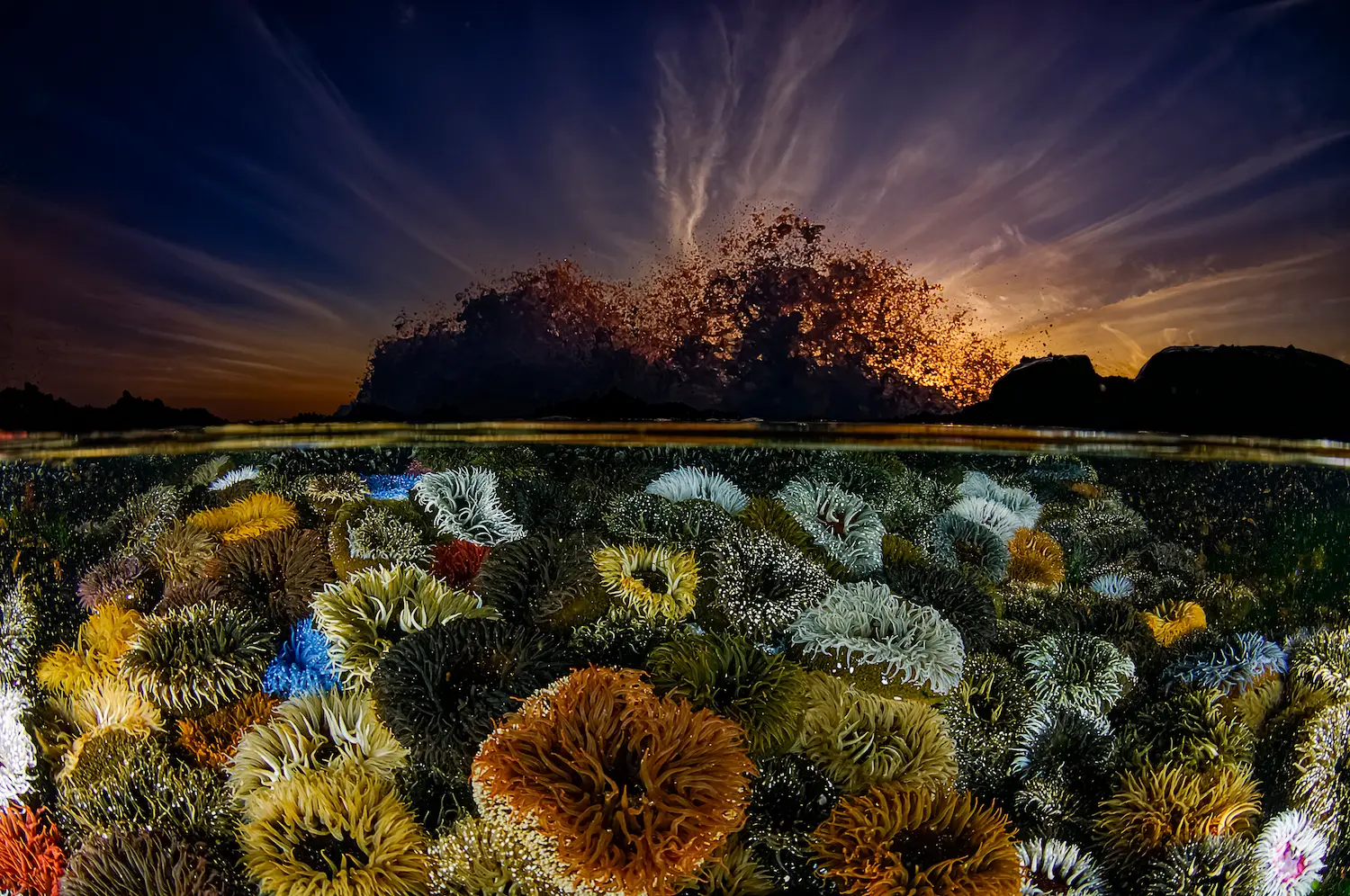 Landscapes Winner Geo Cloete