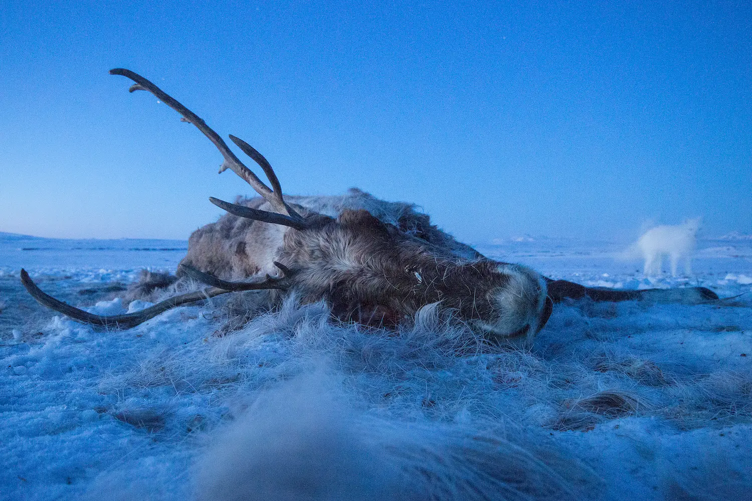 Photo Story NorthernGhosts Peter Mather