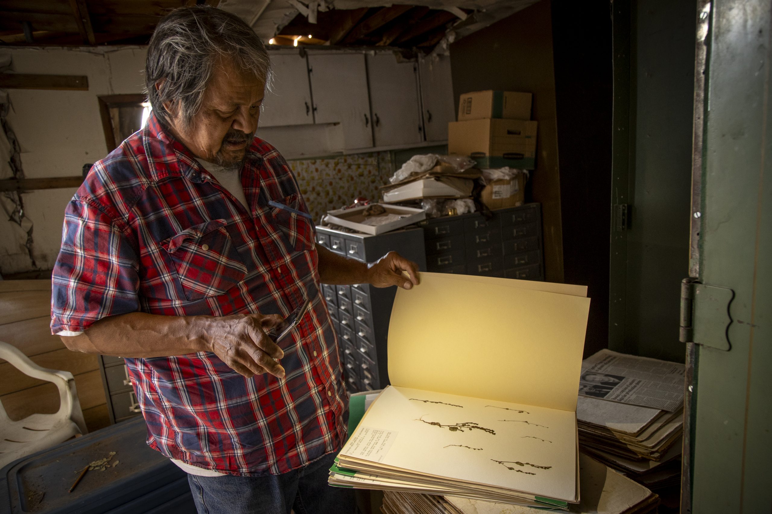 Arnold Clifford, a Navajo (Diné) ethnobotanist, with his herbarium collection on the Navajo Nation.