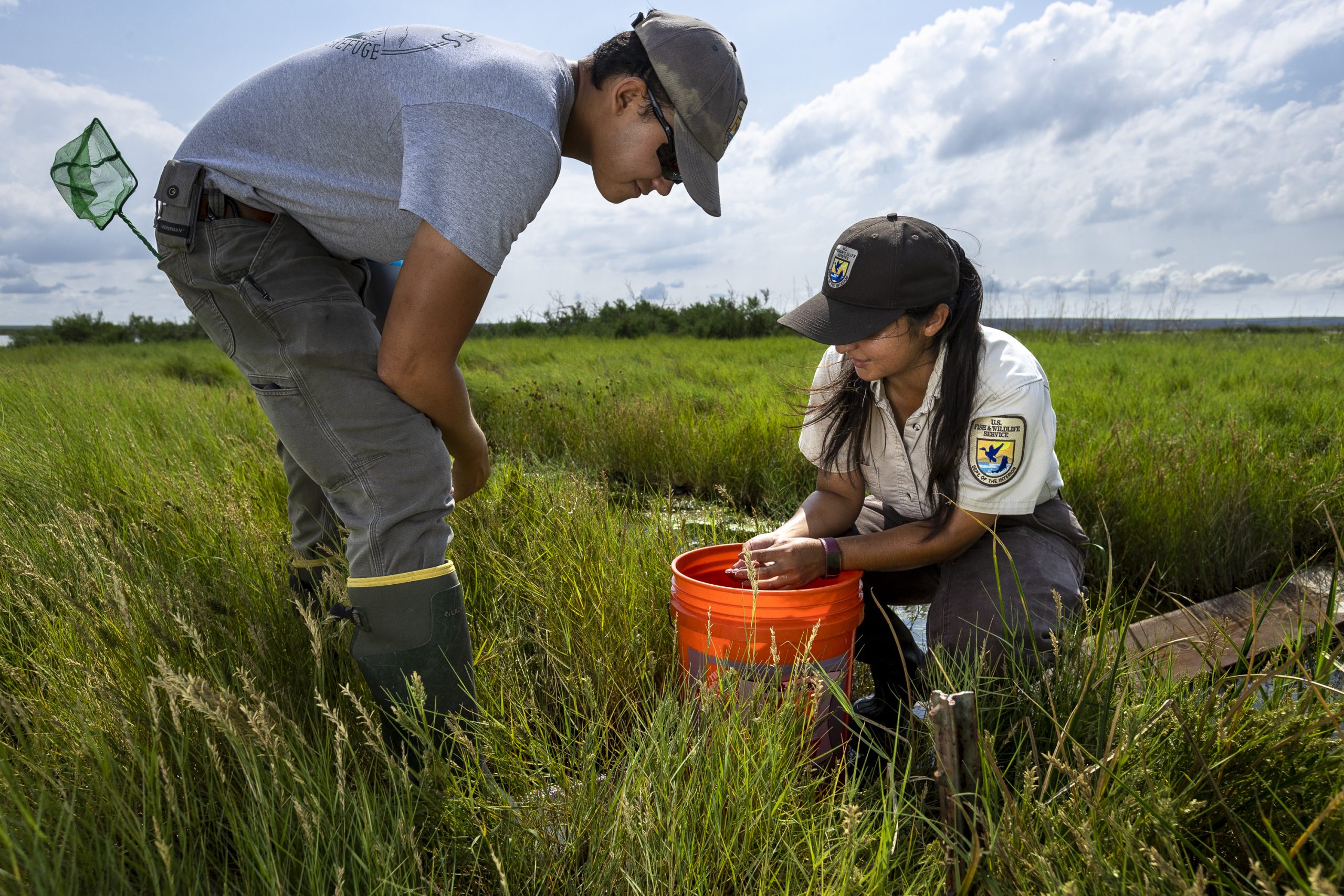 Biologists at Bitter Lakes National Wildlife Refuge conduct annual surveys of three endangered fish found in the alkaline desert springs.