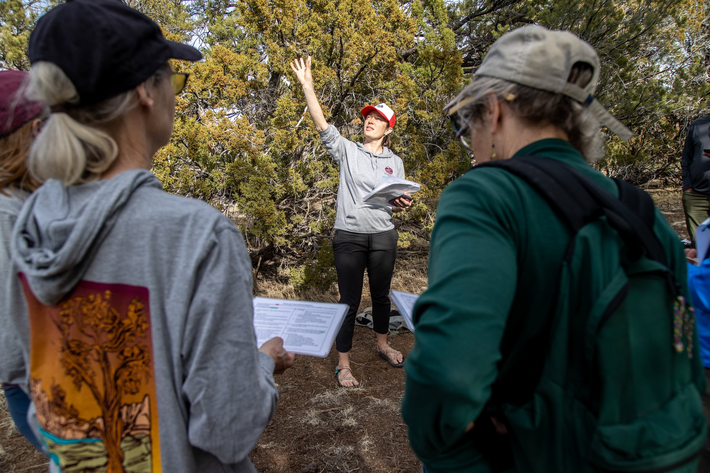 Audrey Kruse of the Grand Canyon Trust trains volunteers to identify pinyon jays in flight during a citizen science training in March 2022. Data collected by volunteers is shared with and used by biologists at Great Basin Bird Observatory.