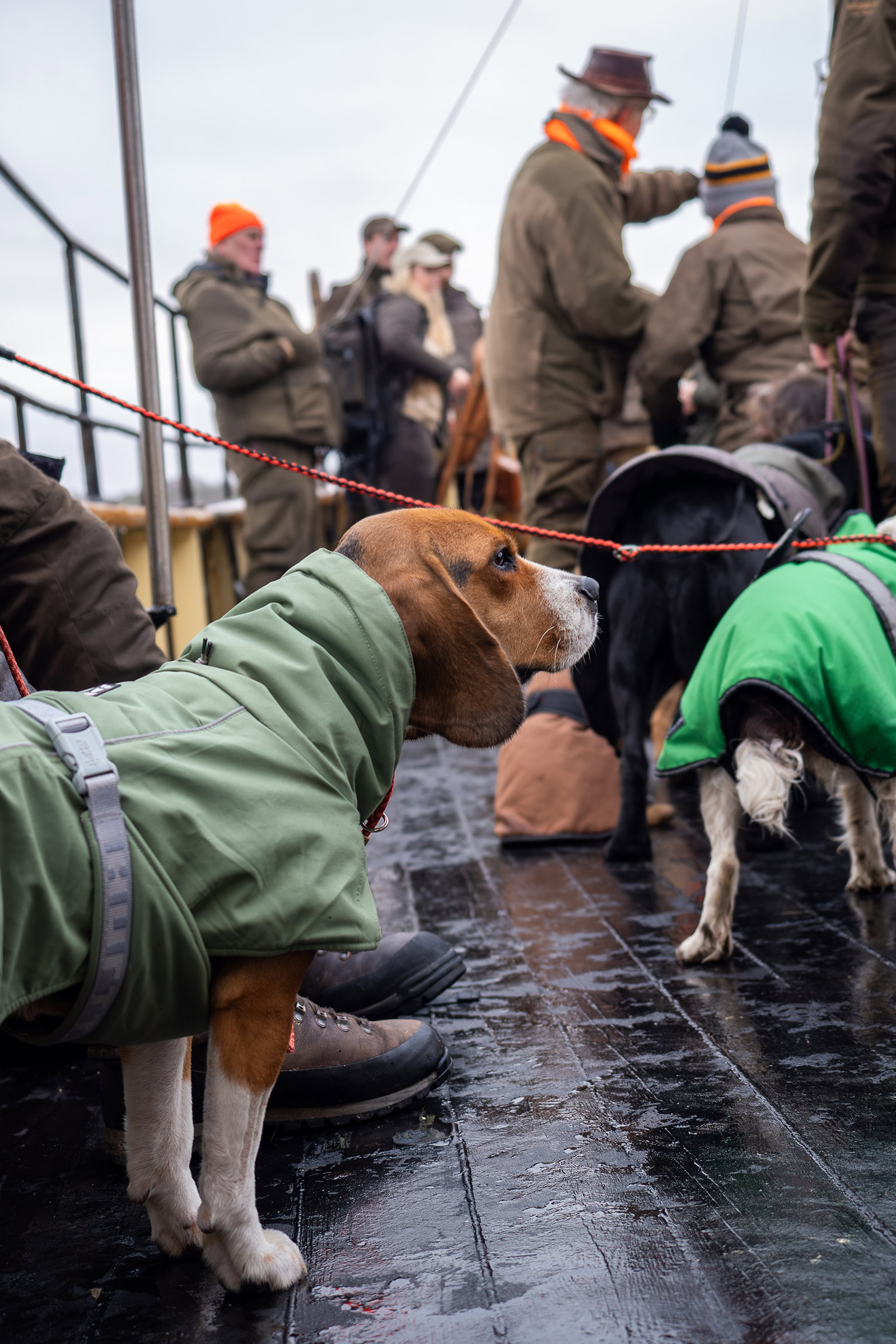 A dog wearing a winter jacket stands on the deck of a boat