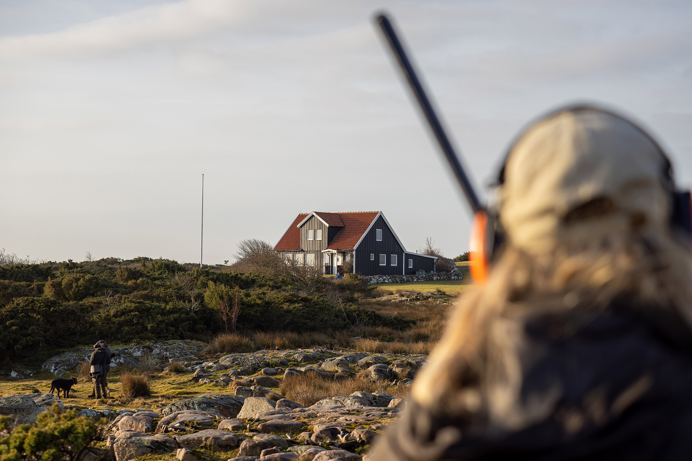 A hunter stands in wait on Hallands Väderö