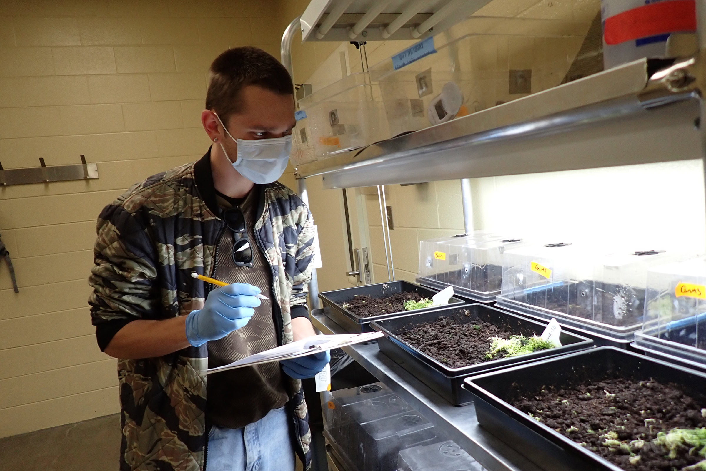 University of Tennessee researcher Cyric Stults makes observations during a study on decaying lab mice. Photograph courtesy of Hannah Noel / Jennifer DeBruyn Lab