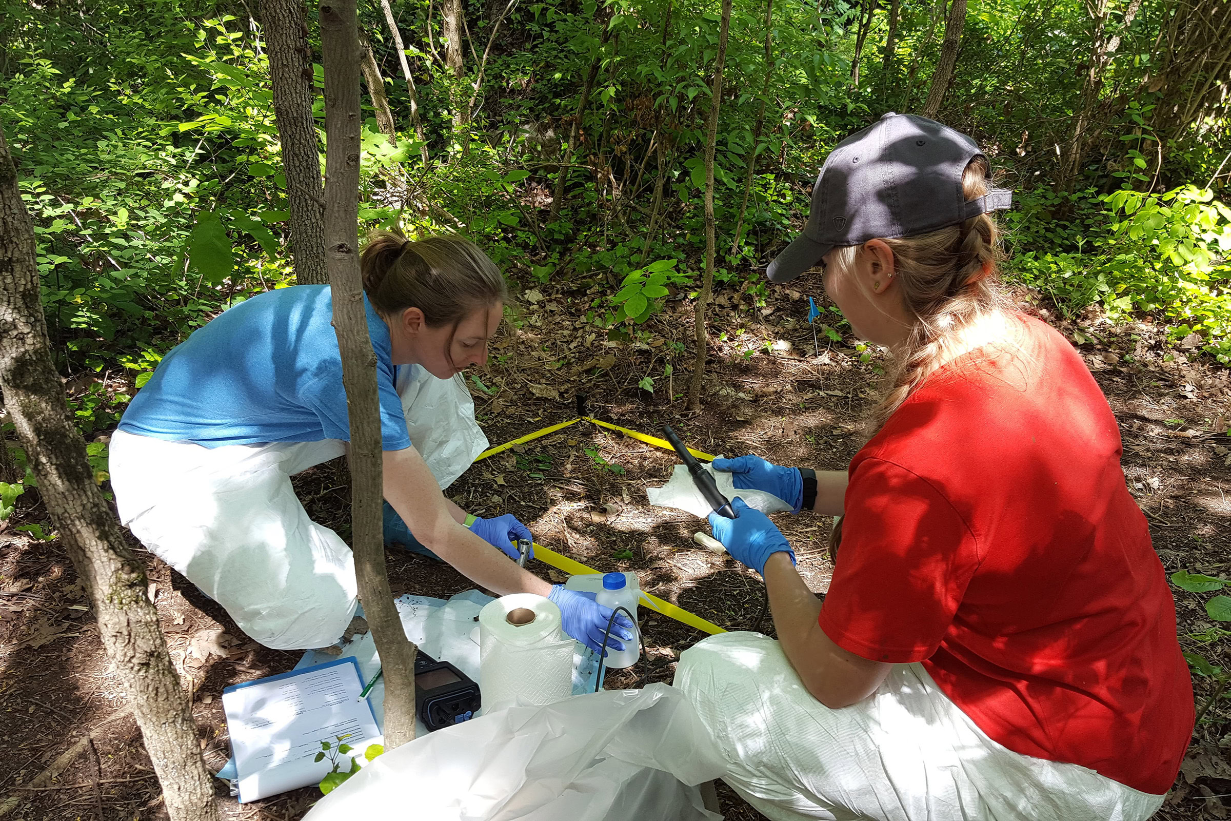 Researchers Sarah Keenan (left) and Allison Mason (right) take samples from a study site where a beaver has been left to decay. Photograph courtesy of Jennifer DeBruyn