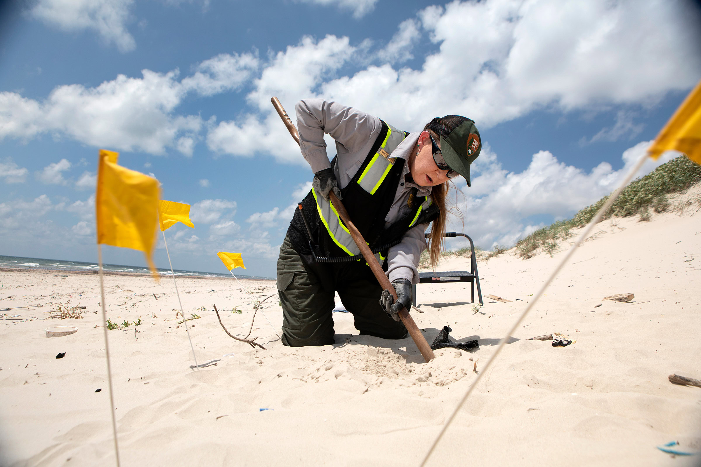 National Park Service biologist Donna Shaver, chief of the Division of Sea Turtle Science and Recovery at Padre Island National Seashore, gently pokes the sand to find a cavity harboring recently laid Kemp’s ridley eggs.