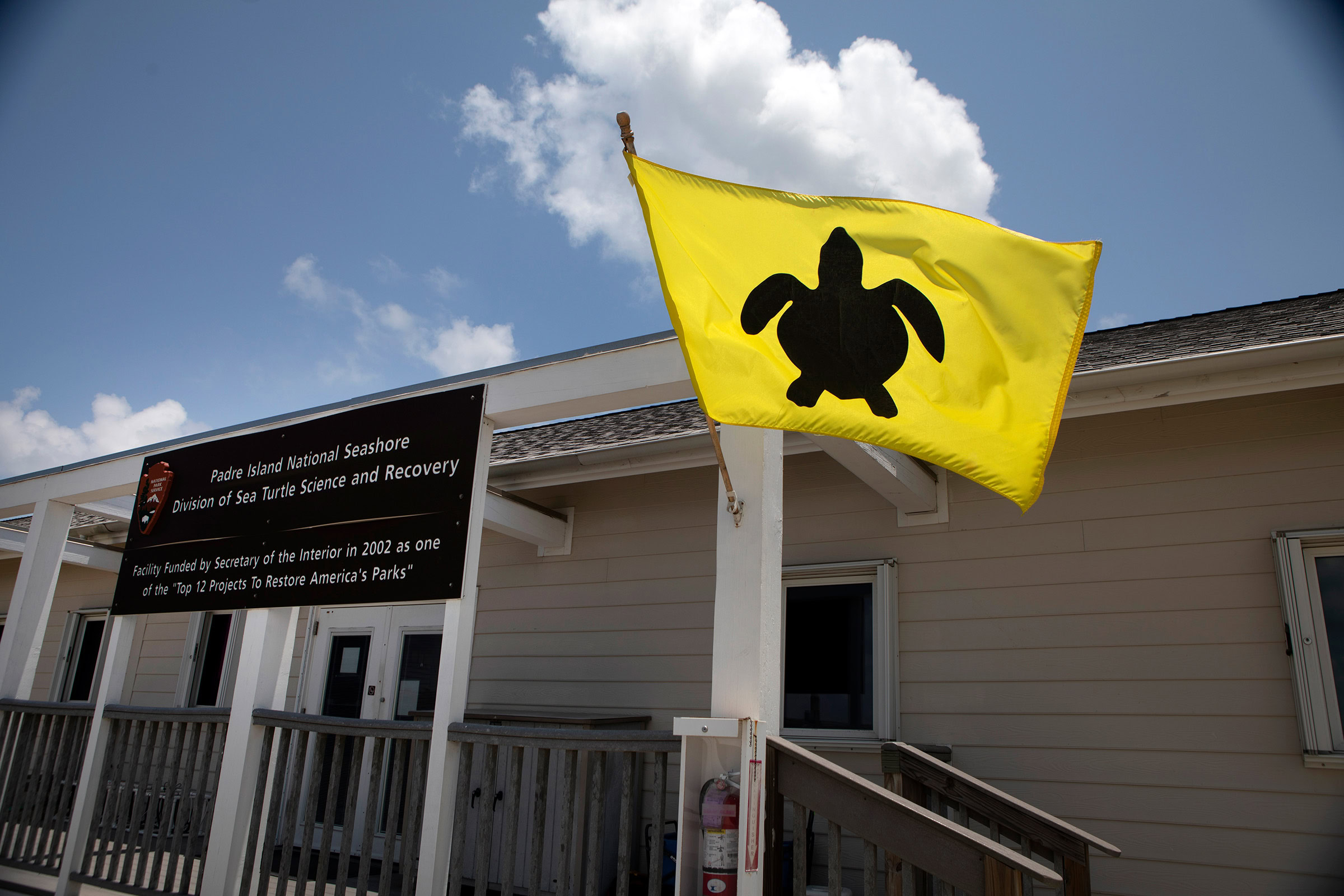 A turtle flag waves outside the Division of Sea Turtle Science and Recovery headquarters at Padre Island National Seashore, in southern Texas.